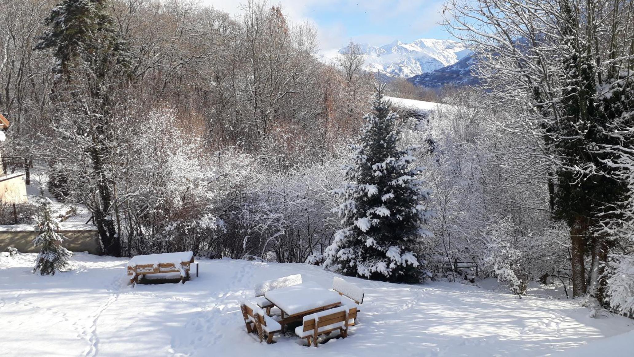 LES PRIMEVERES view 5