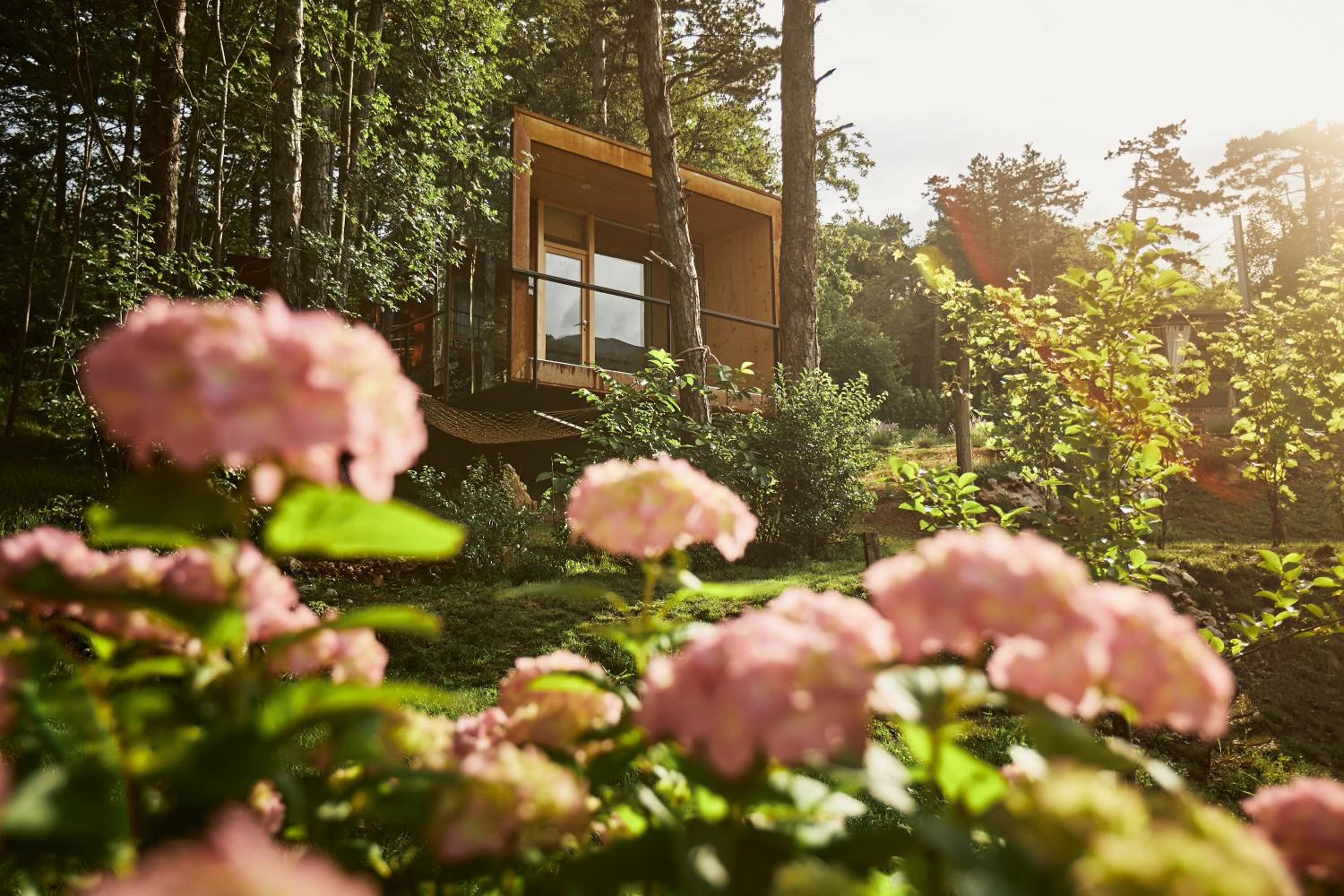 Theodosius Forest Village - Glamping in Vipava valley view 5