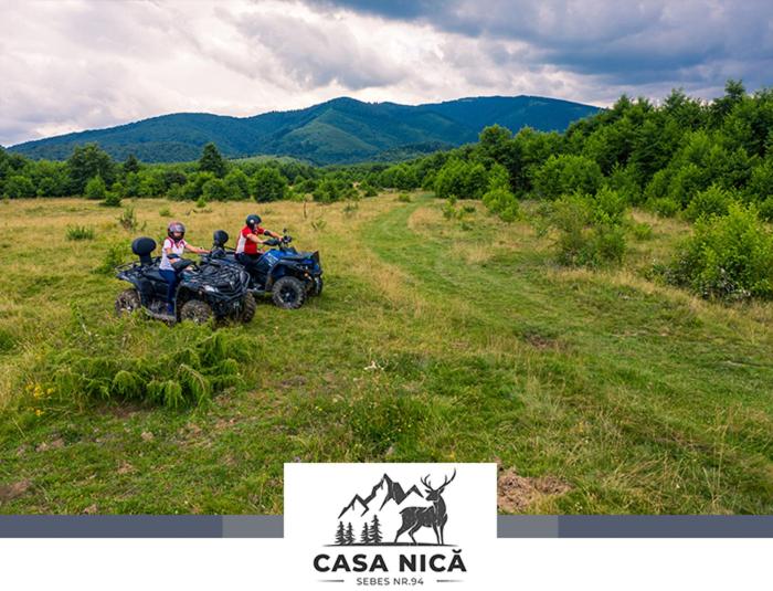 agropensiunea CASA NICA view 3