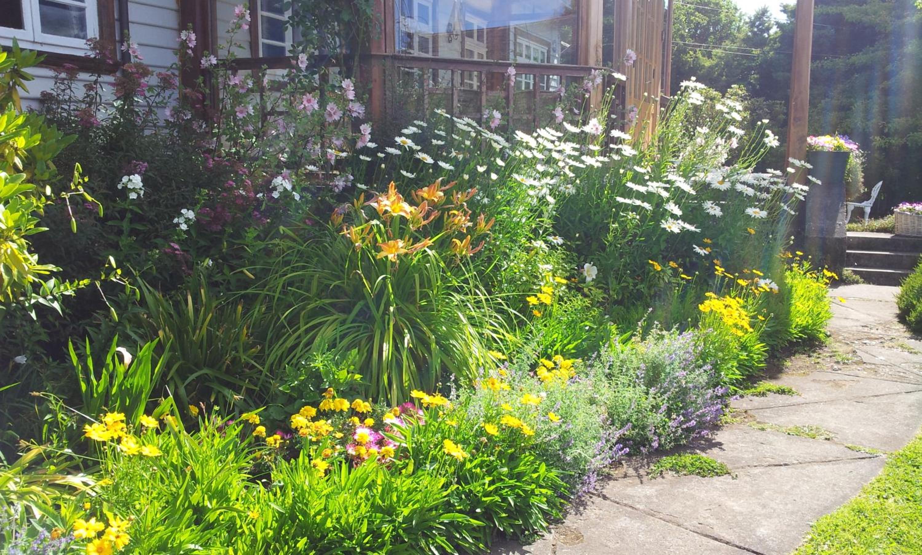 garden