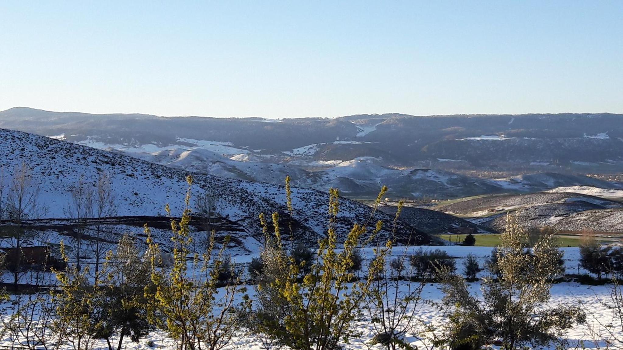 Le Chêne d´Azrou view 4