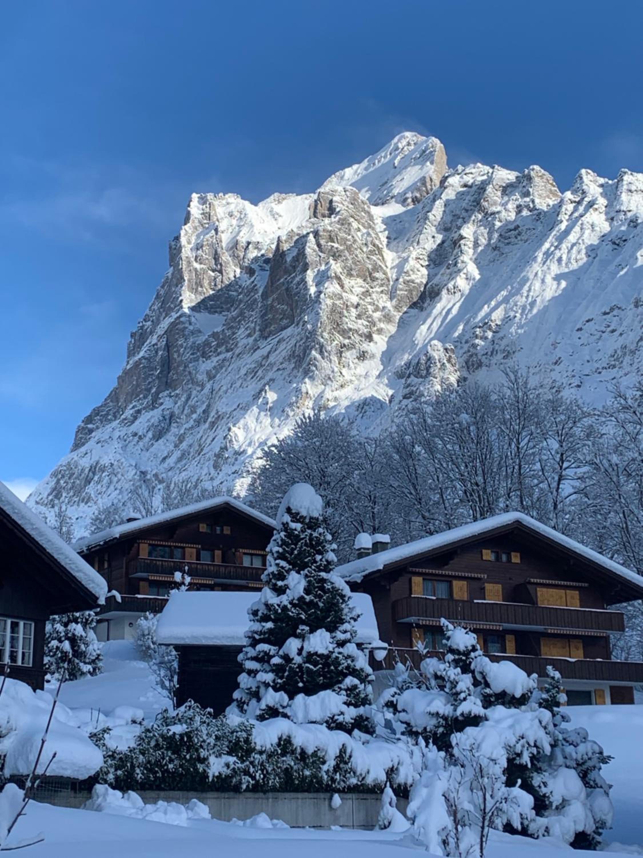 Chalet Sunneblick