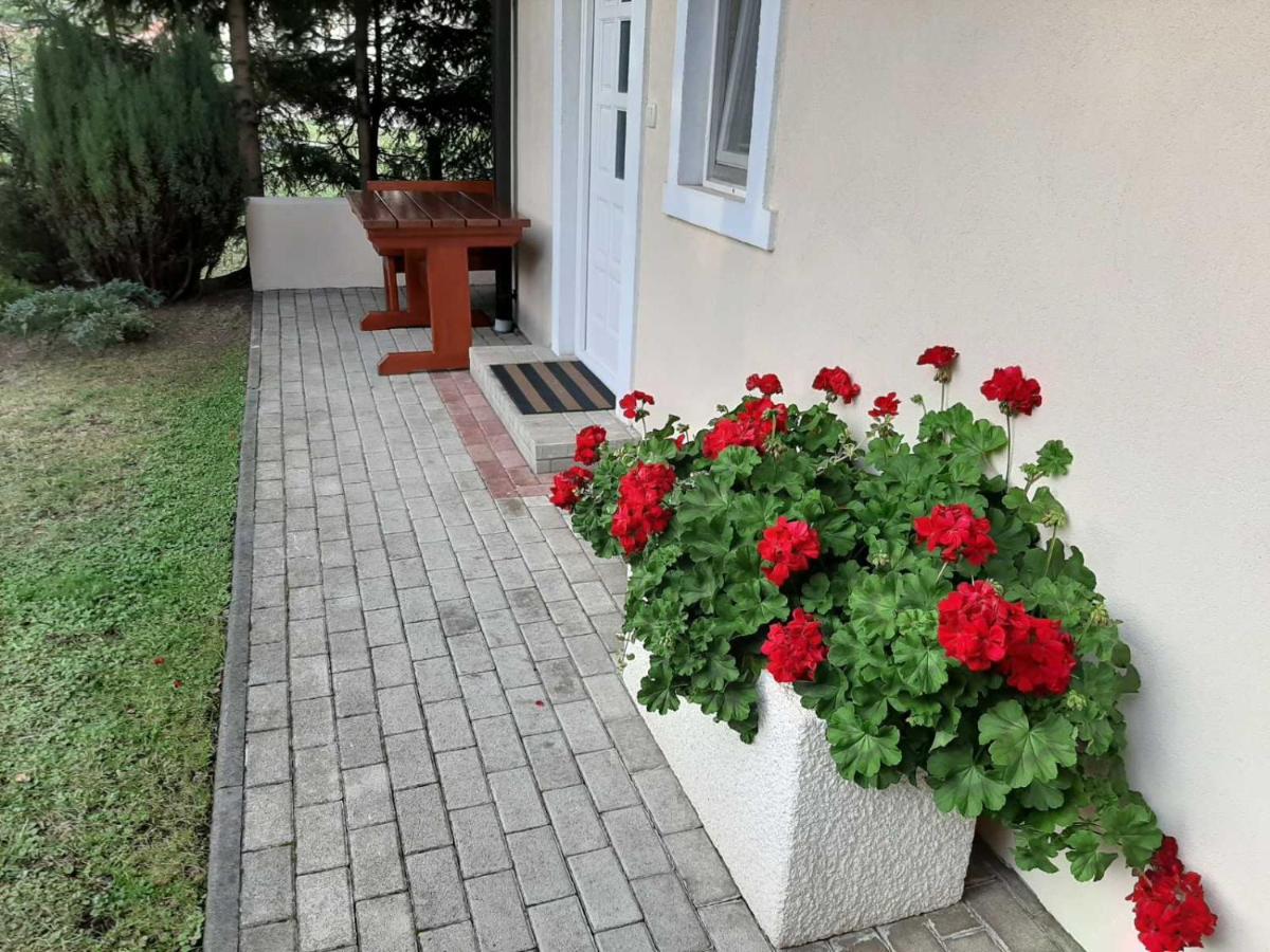 Photo 45