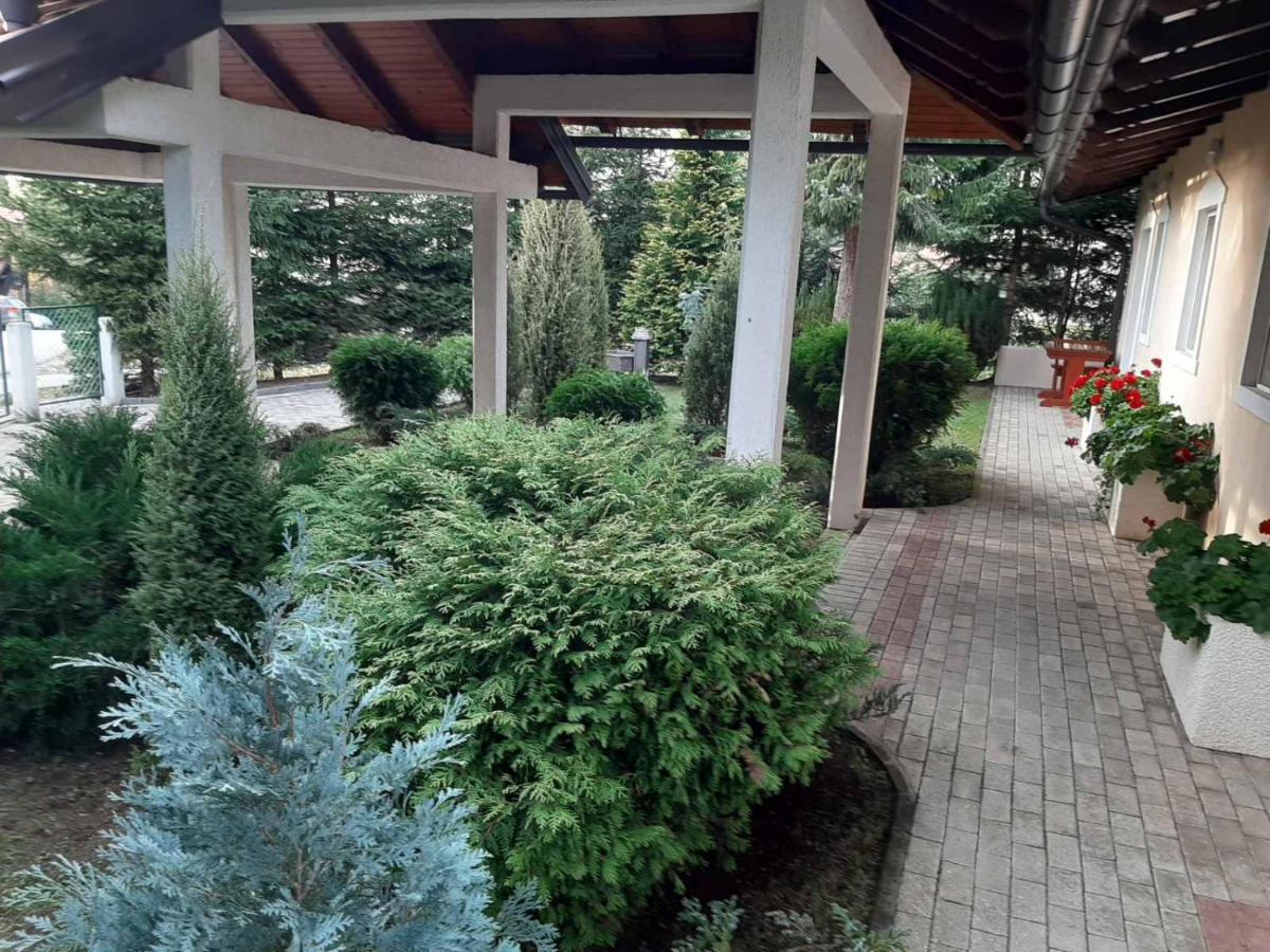 Photo 46