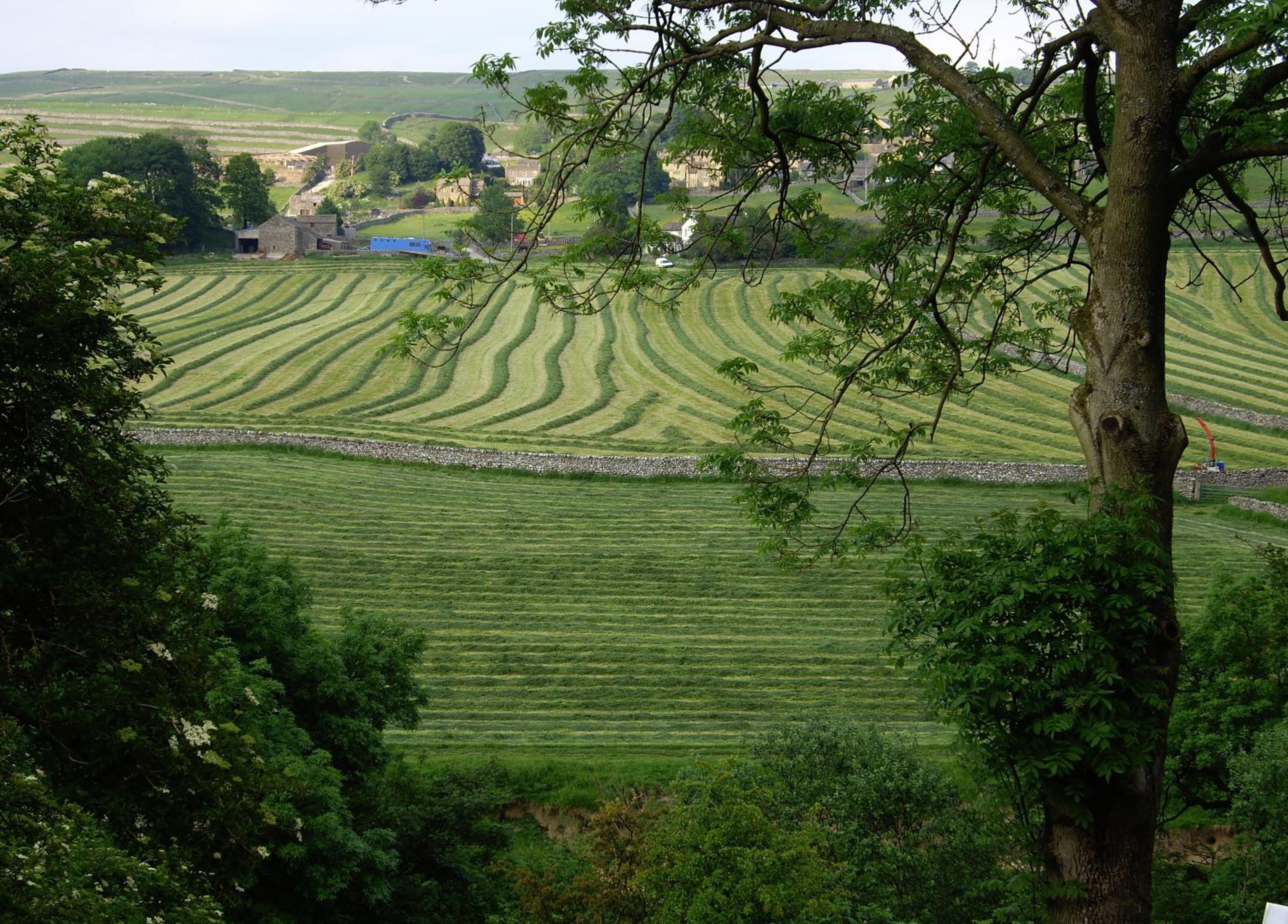other