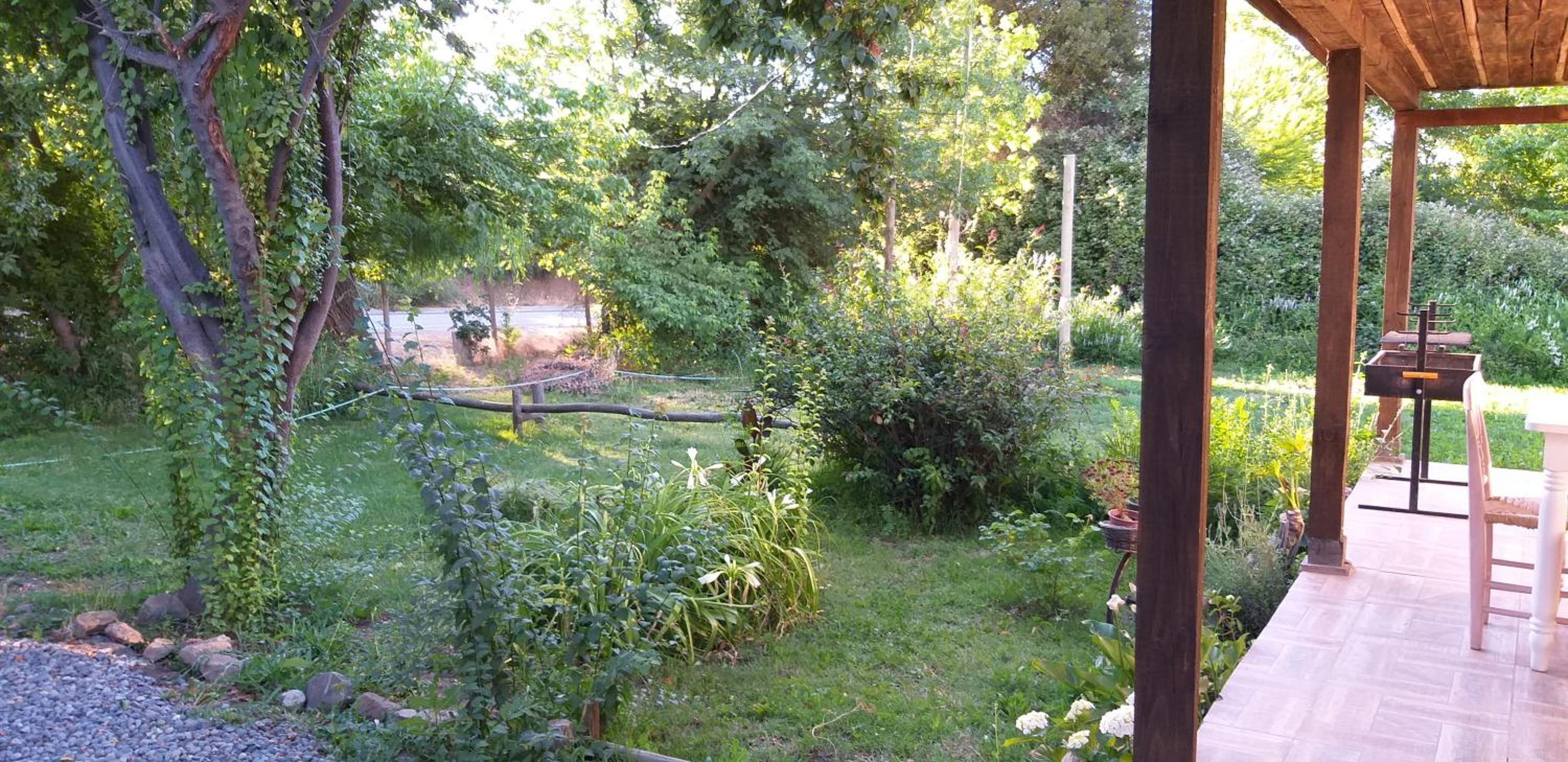 Photo 43