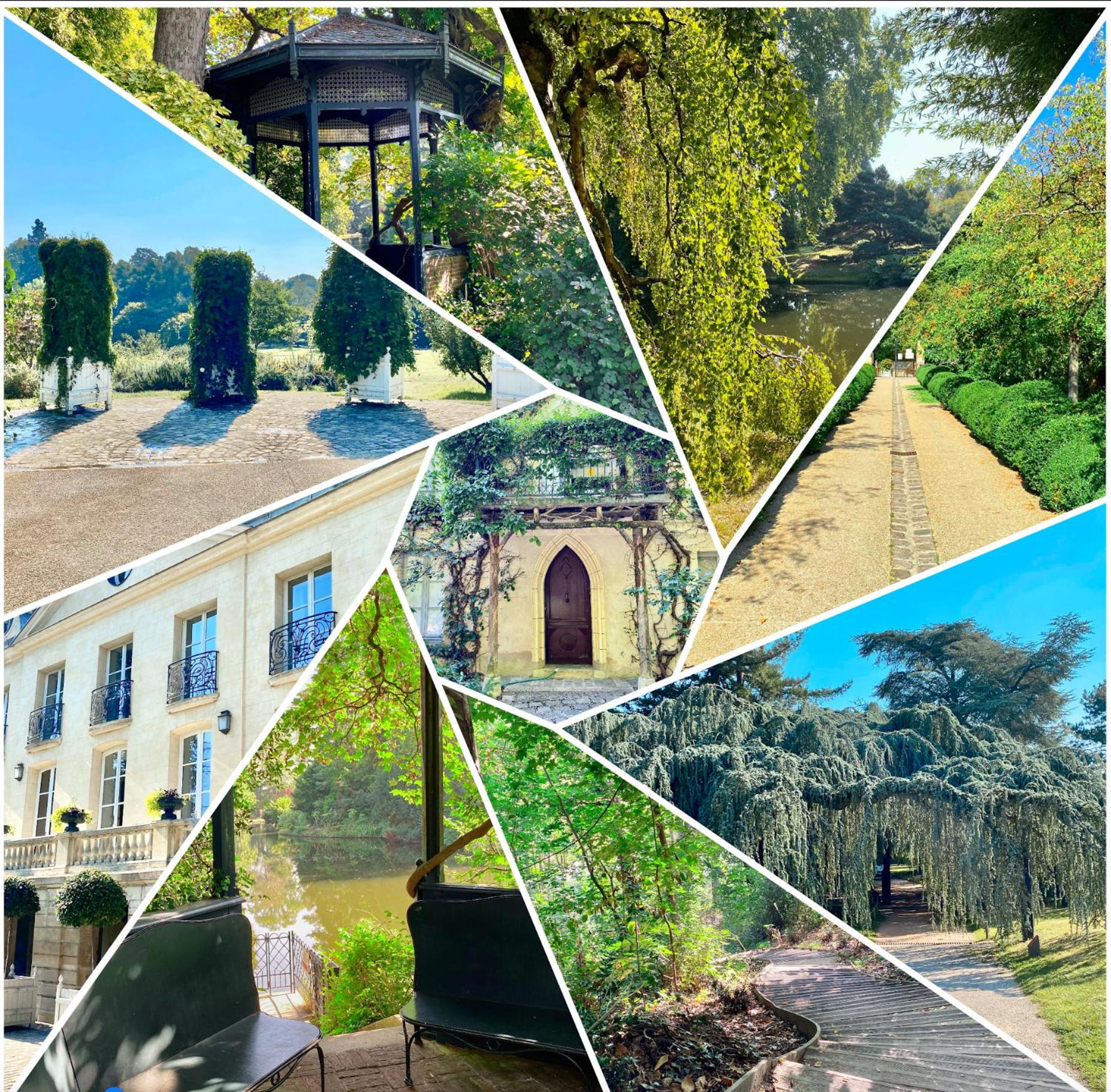 Oasis au Coeur de Ville