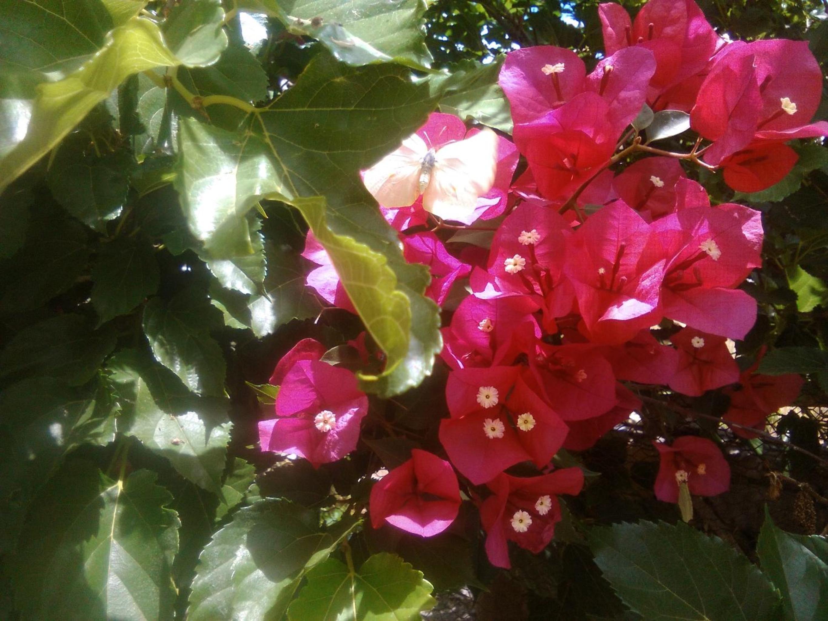 Photo 31