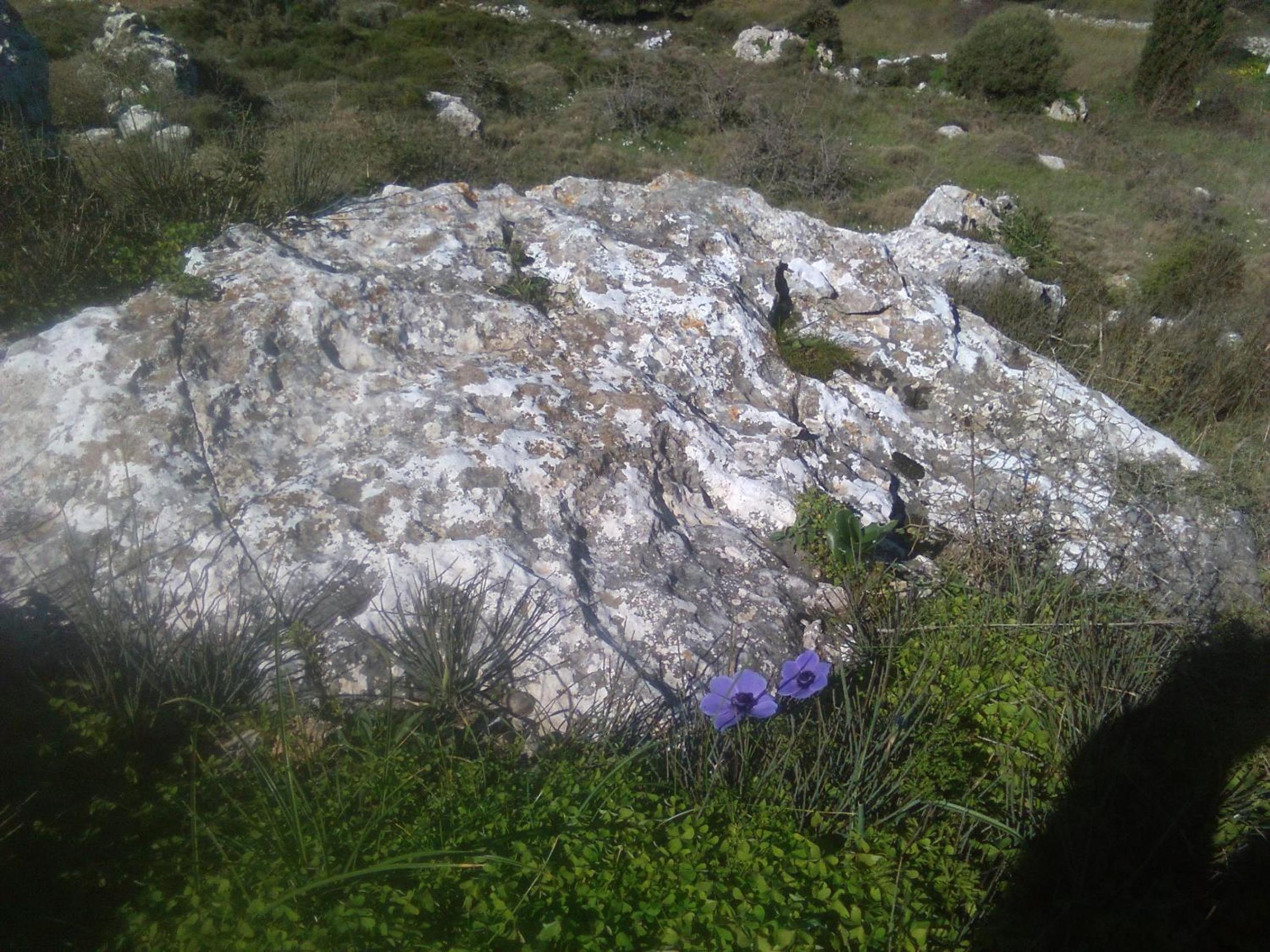 Photo 34