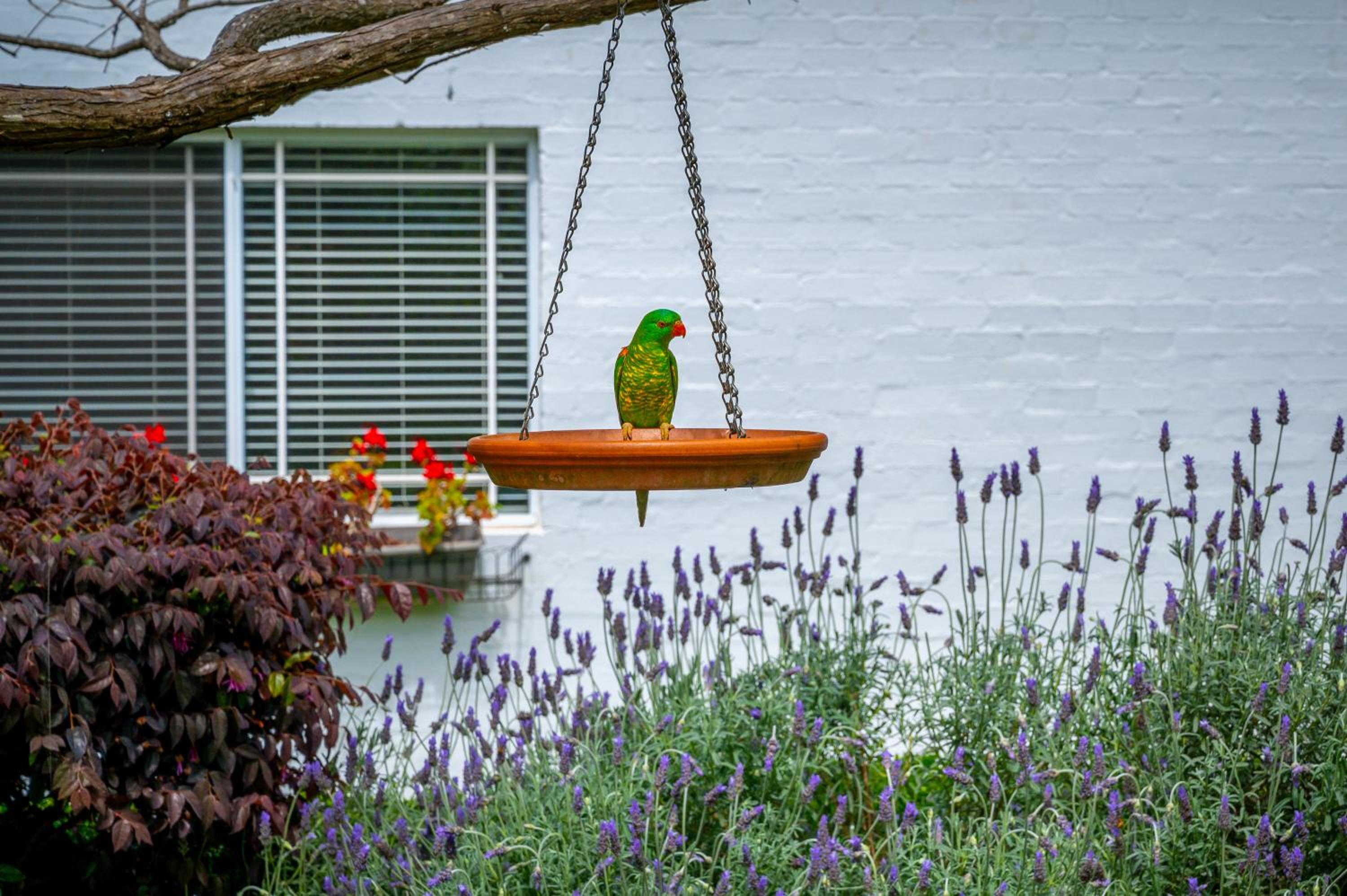 Homewood Cottages