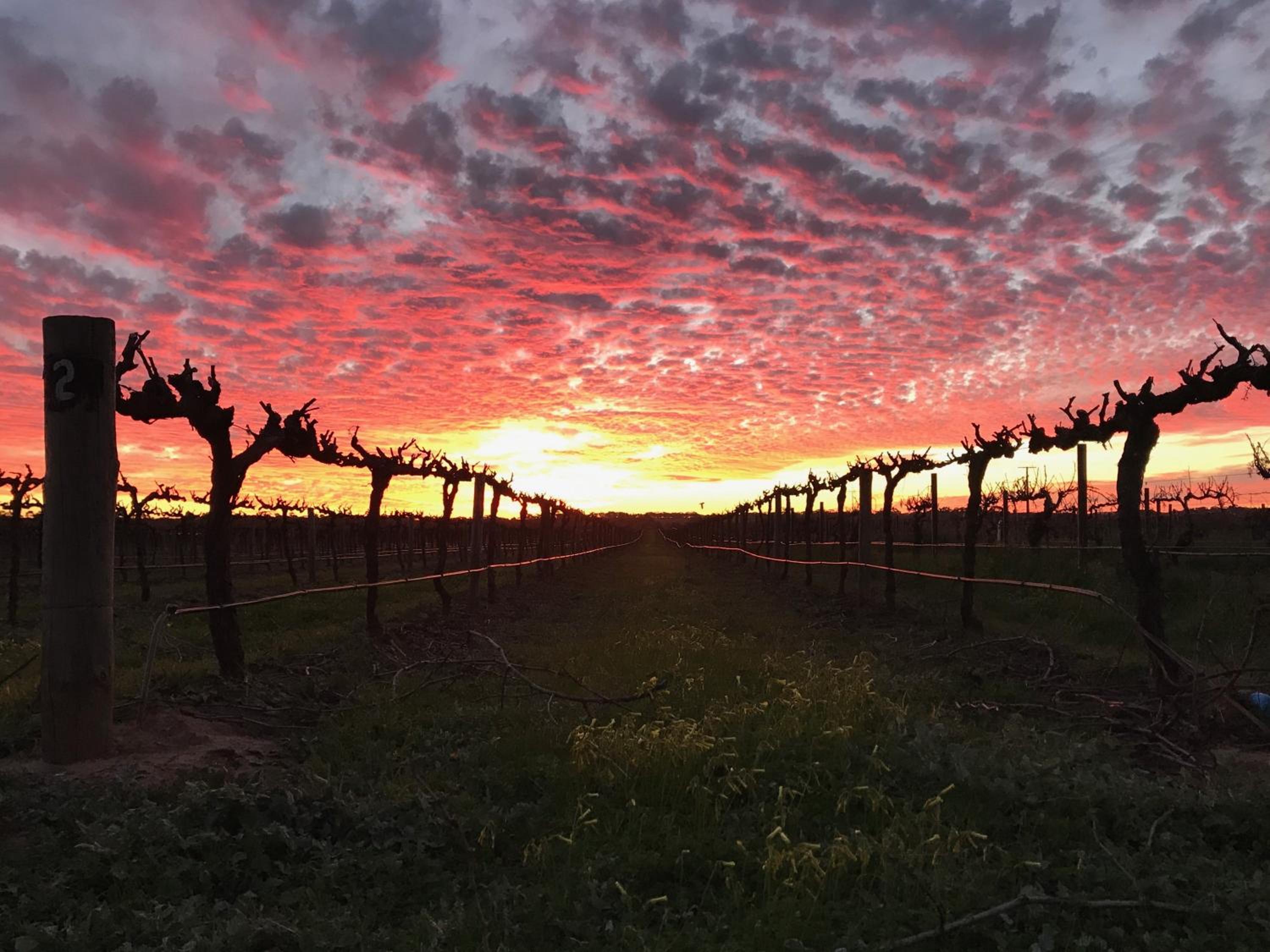 Barossa House