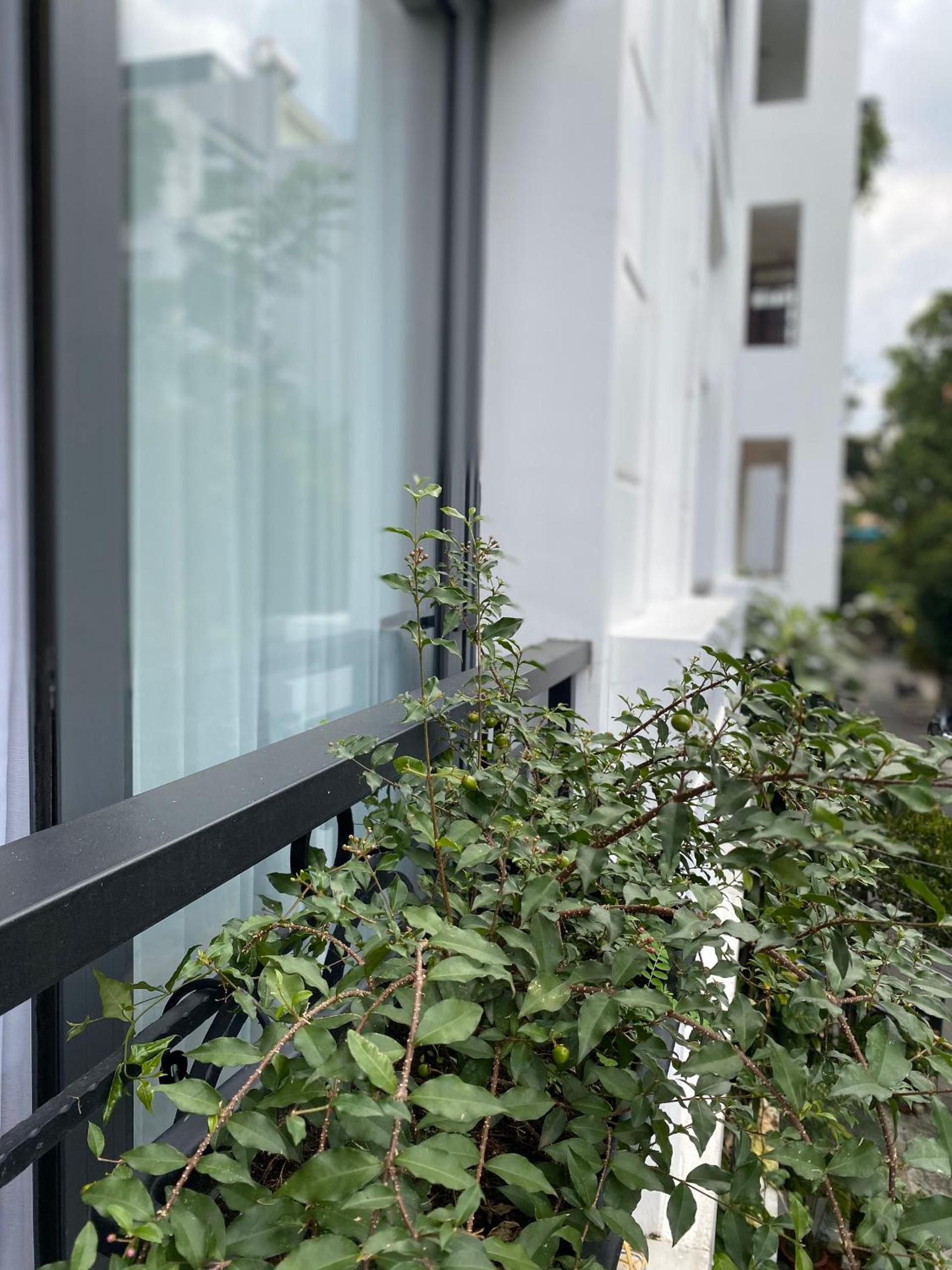 Mai Home - Apartment & Homestay