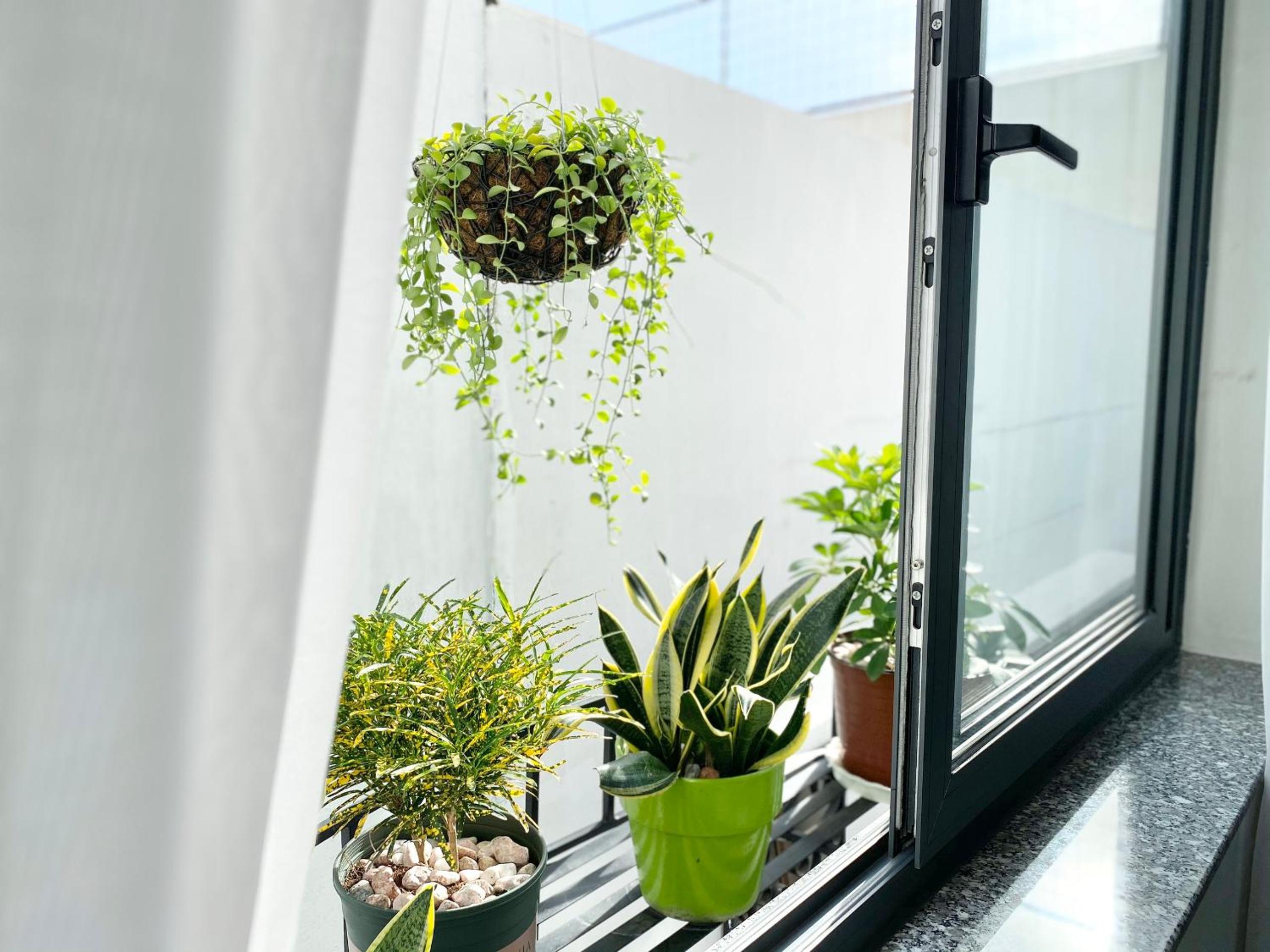 Mai Home - Apartment & Homestay