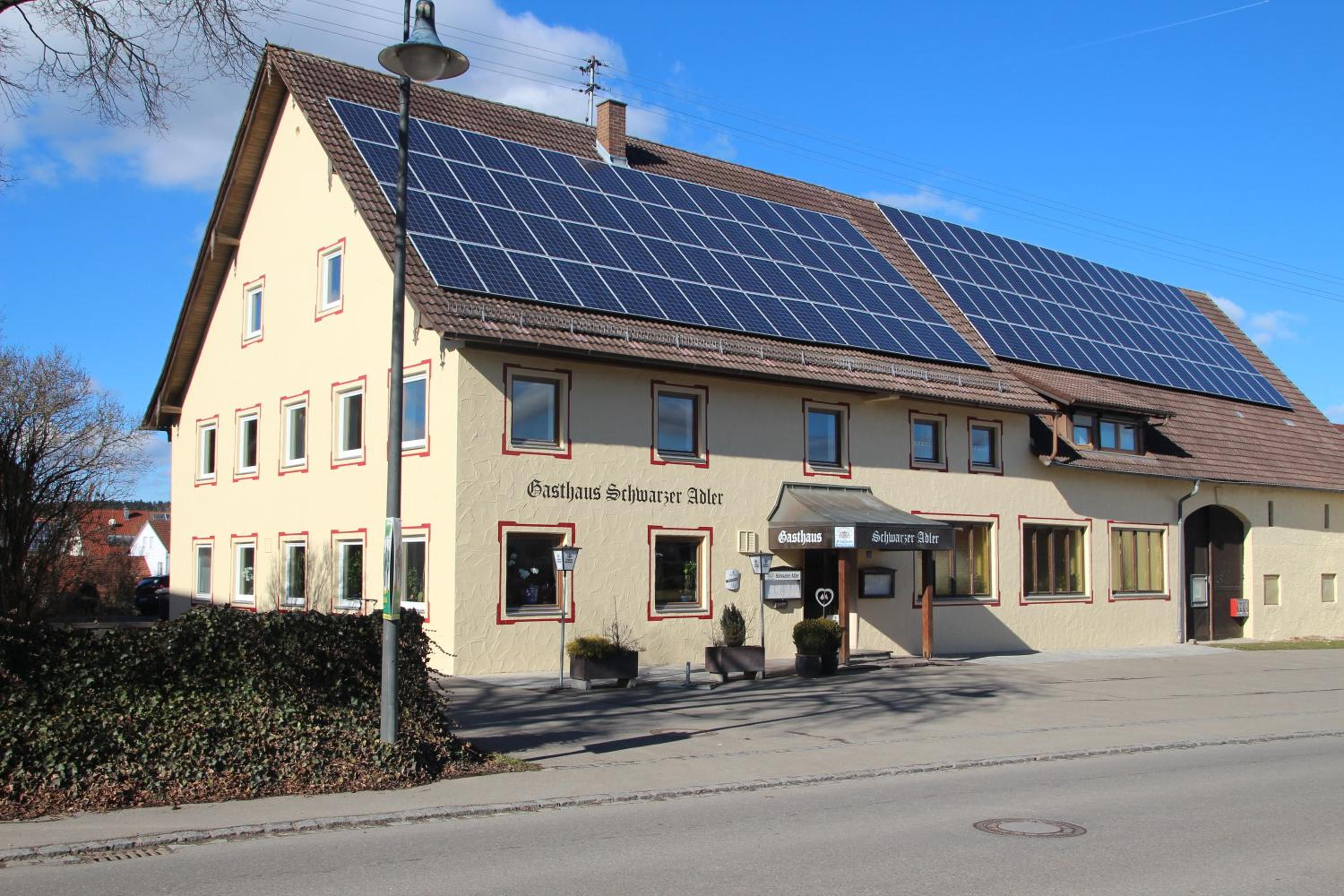 Schwarzer Adler view 2