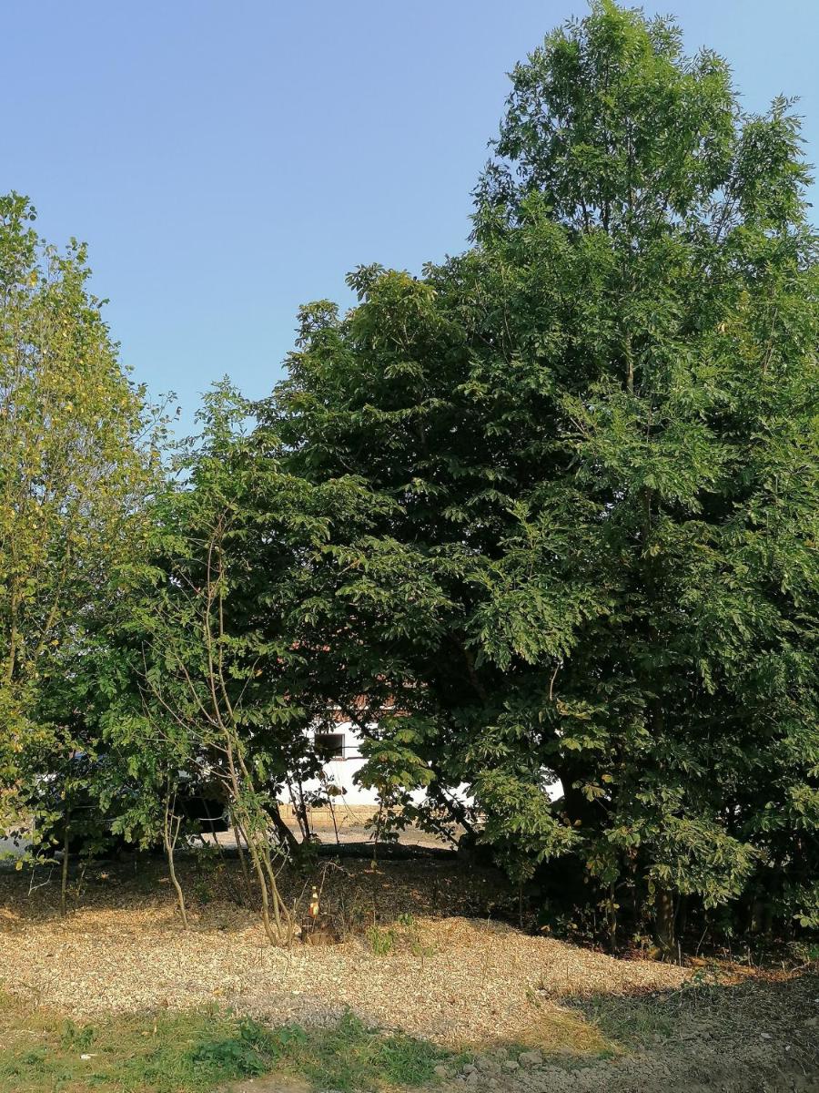 Camping Weides view 2