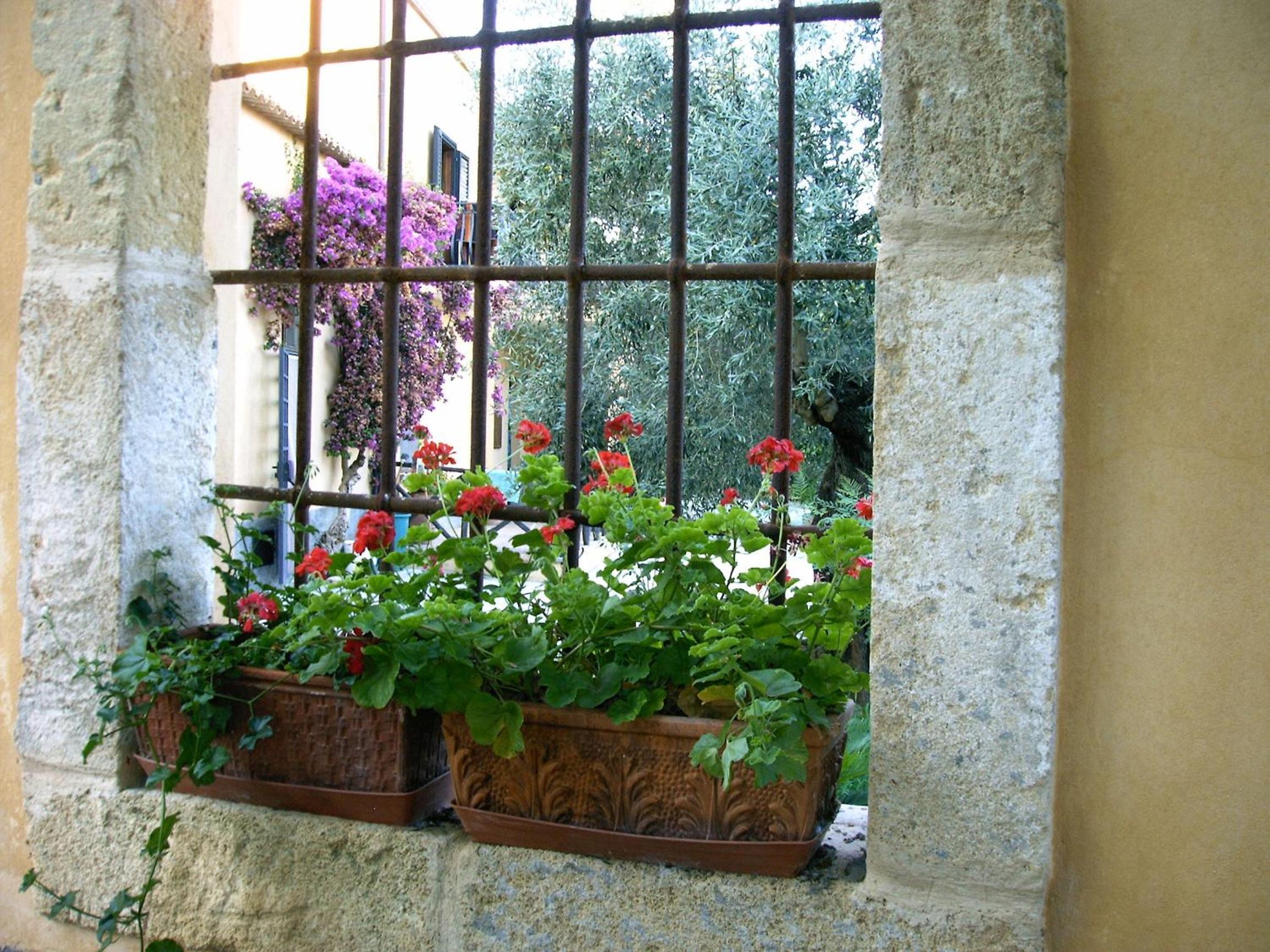 Azienda Agrituristica Biologica Il Querceto view 5