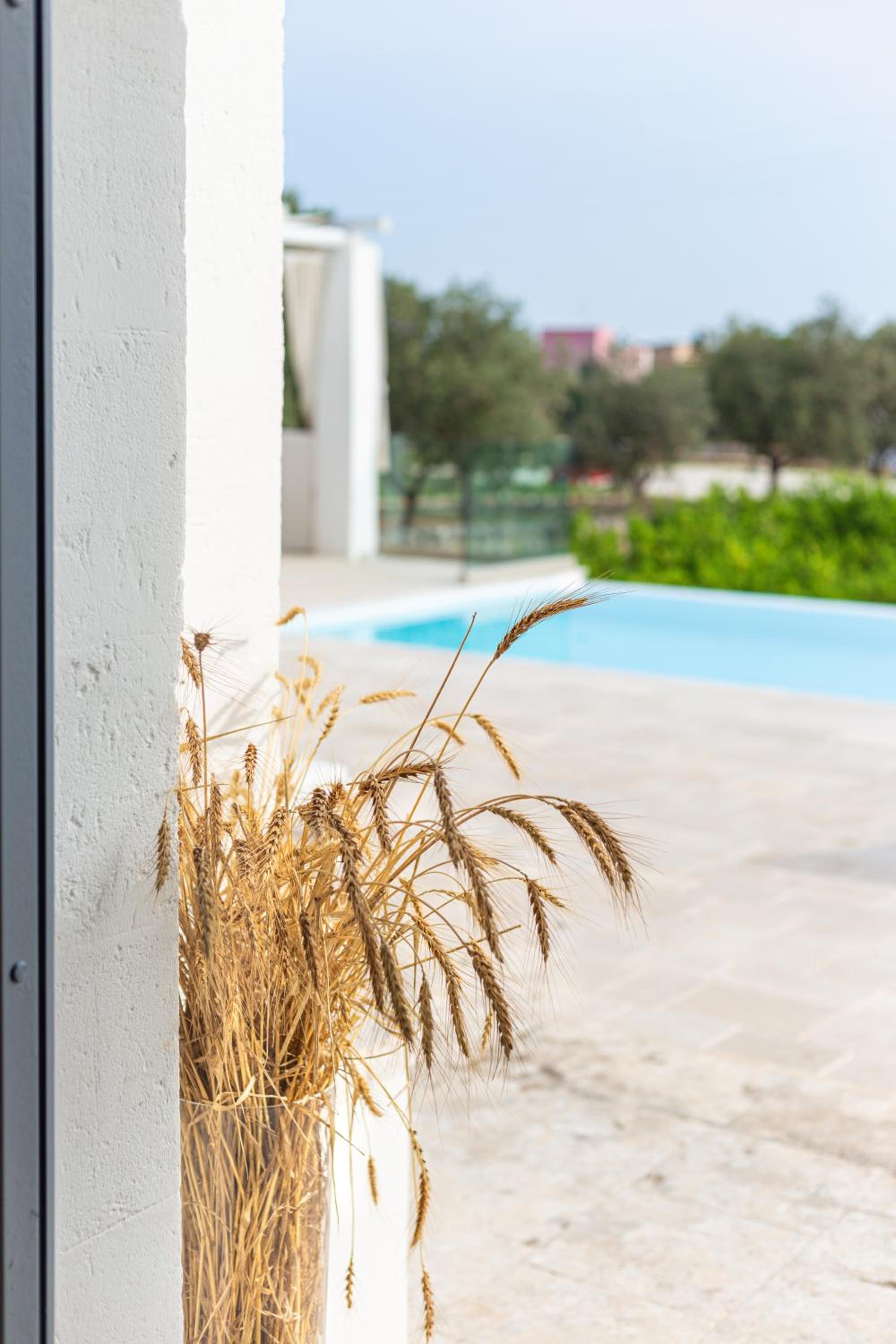 Masseria Limonaia & Spa view 2