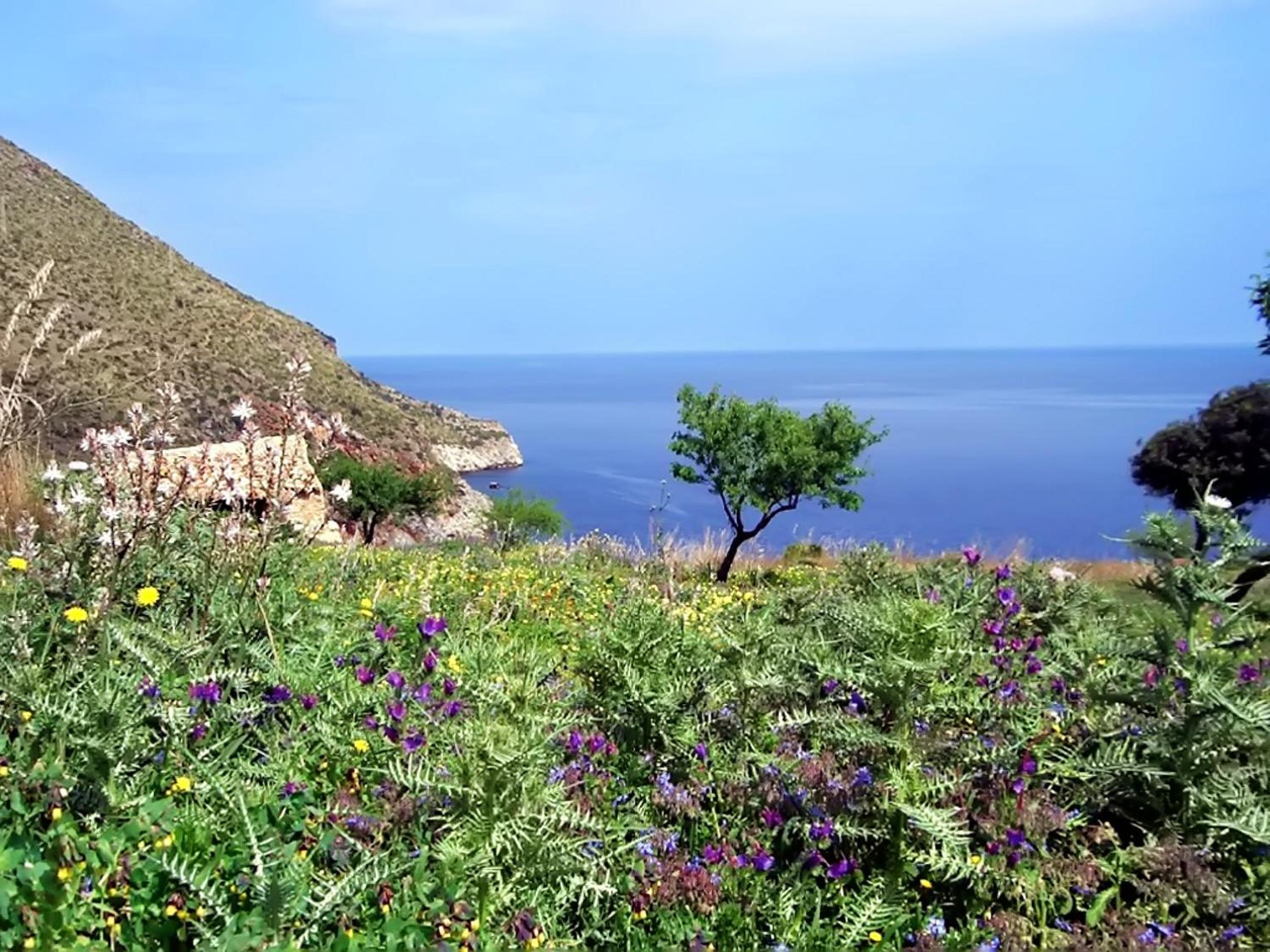 Charming Villa in Balestrate