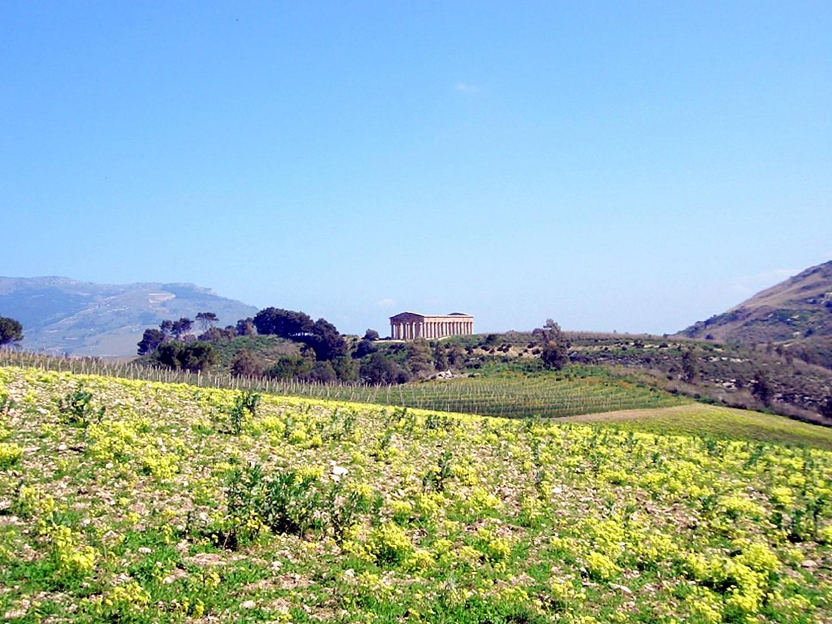Charming Villa in Balestrate