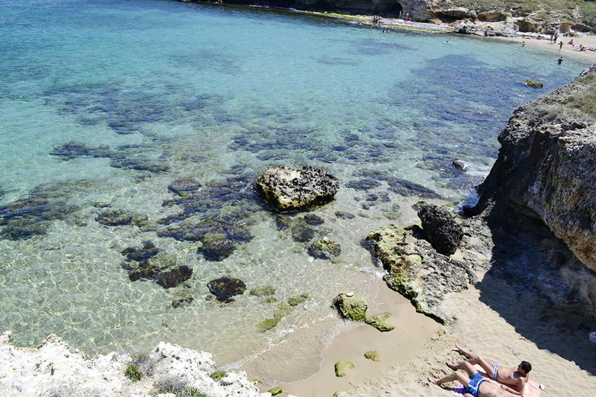 2 bedrooms house at Monopoli 100 m away from the beach with sea view enclosed garden and wifi