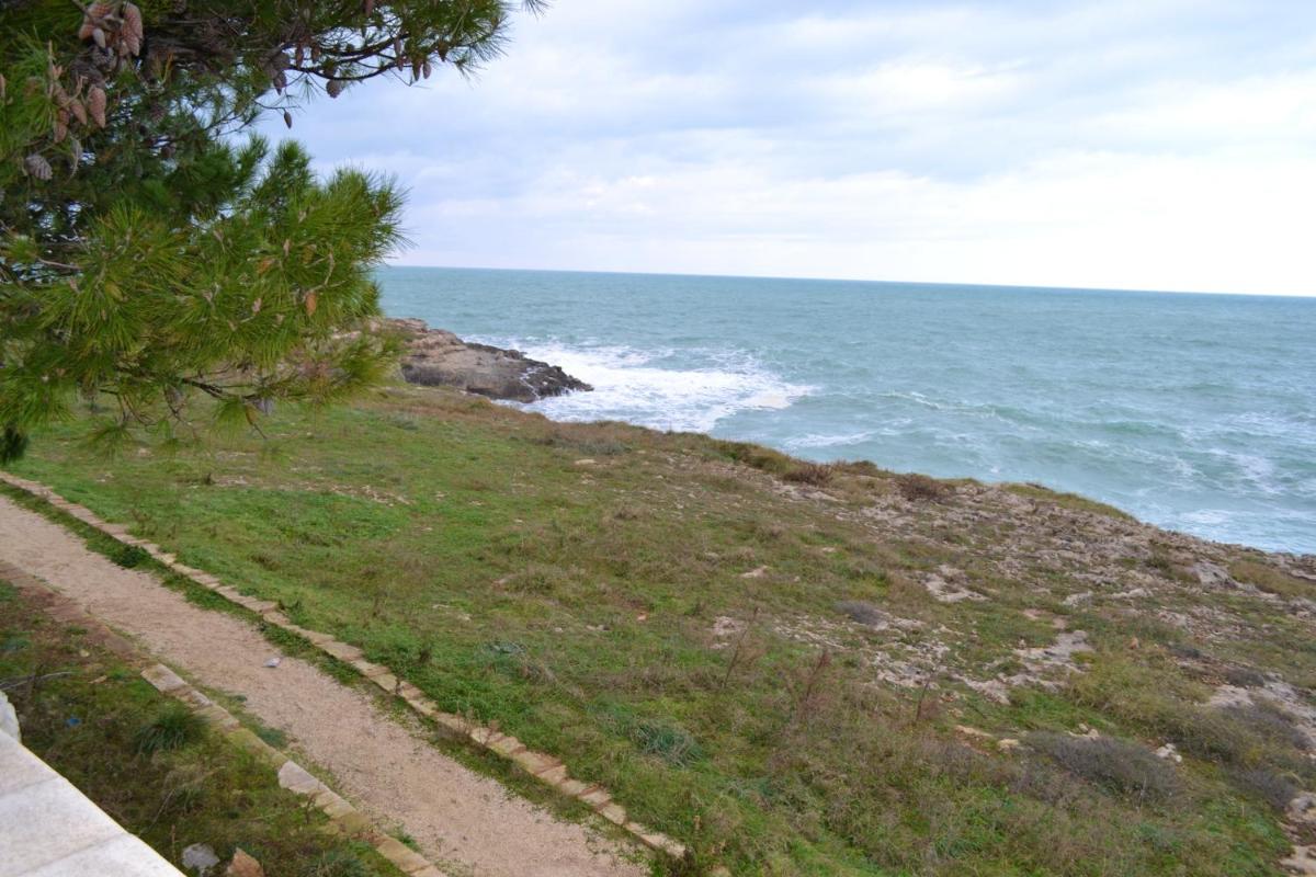 2 bedrooms house at Monopoli 100 m away from the beach with sea view enclosed garden and wifi