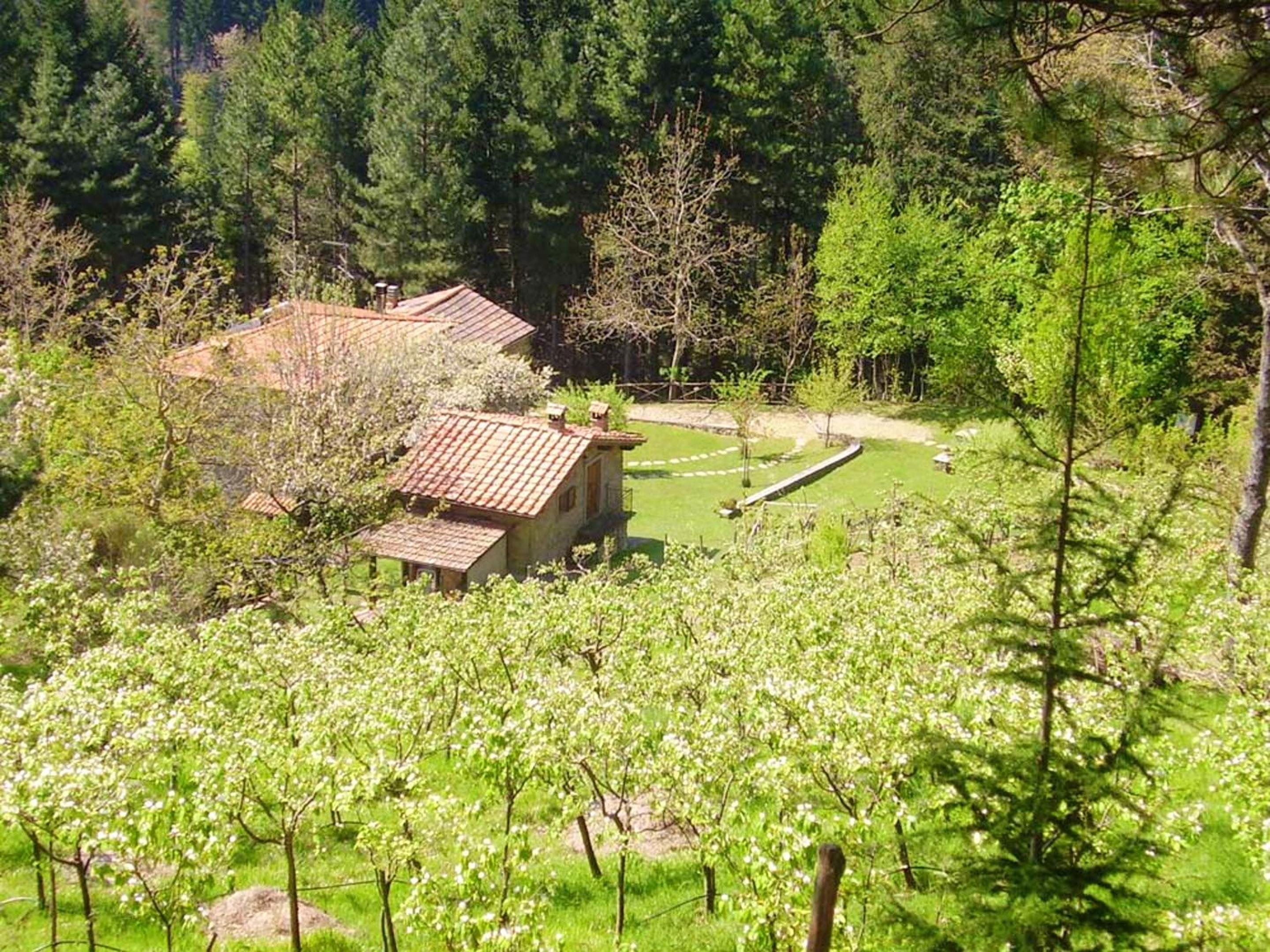 Comfortable House in Bibbiena + Pool view 2
