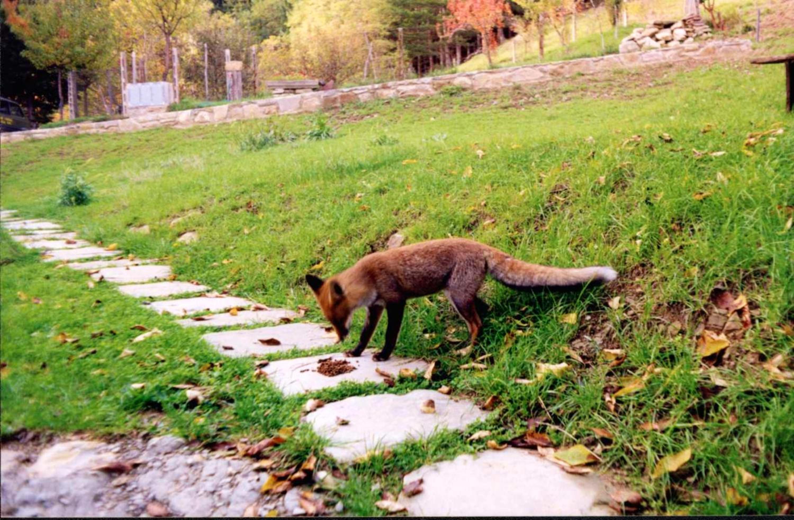 Photo 47