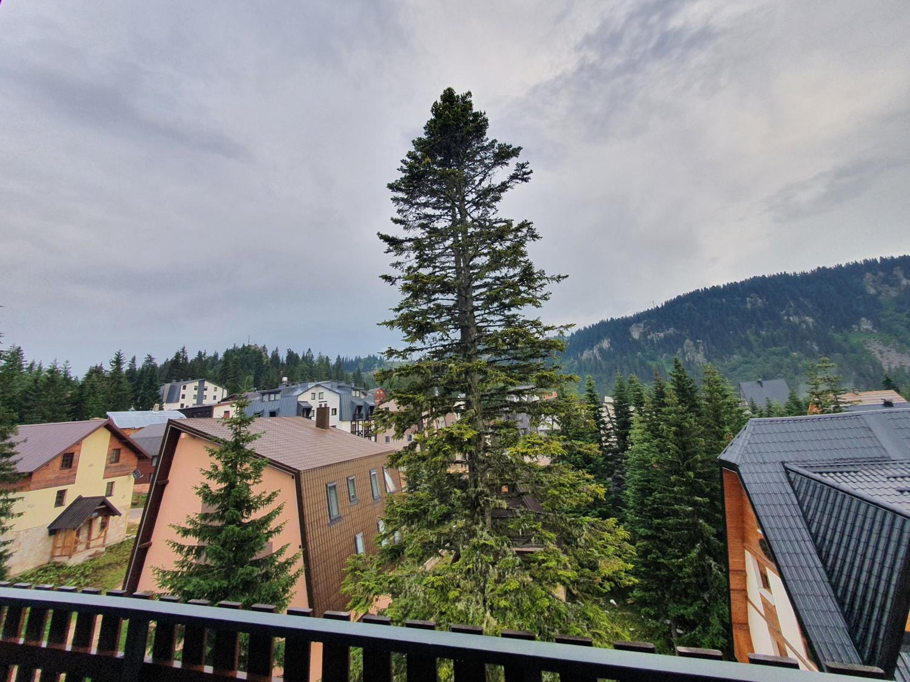 Jelka apartmani