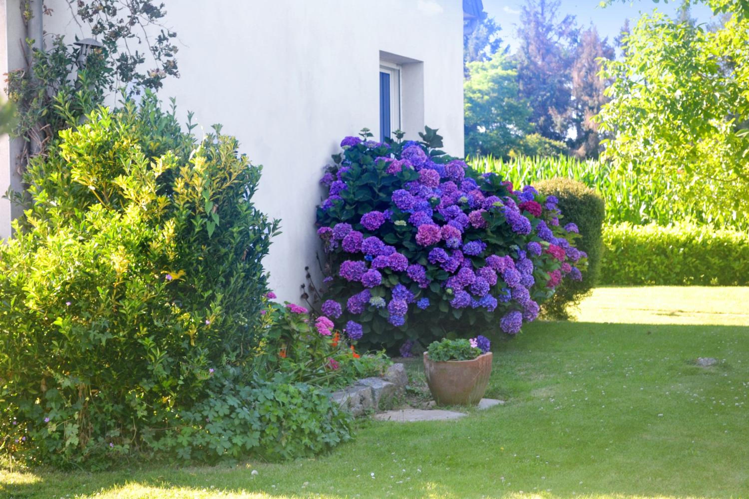Maison de 4 chambres avec jardin clos et wifi a Tregomeur a 8 km de la plage