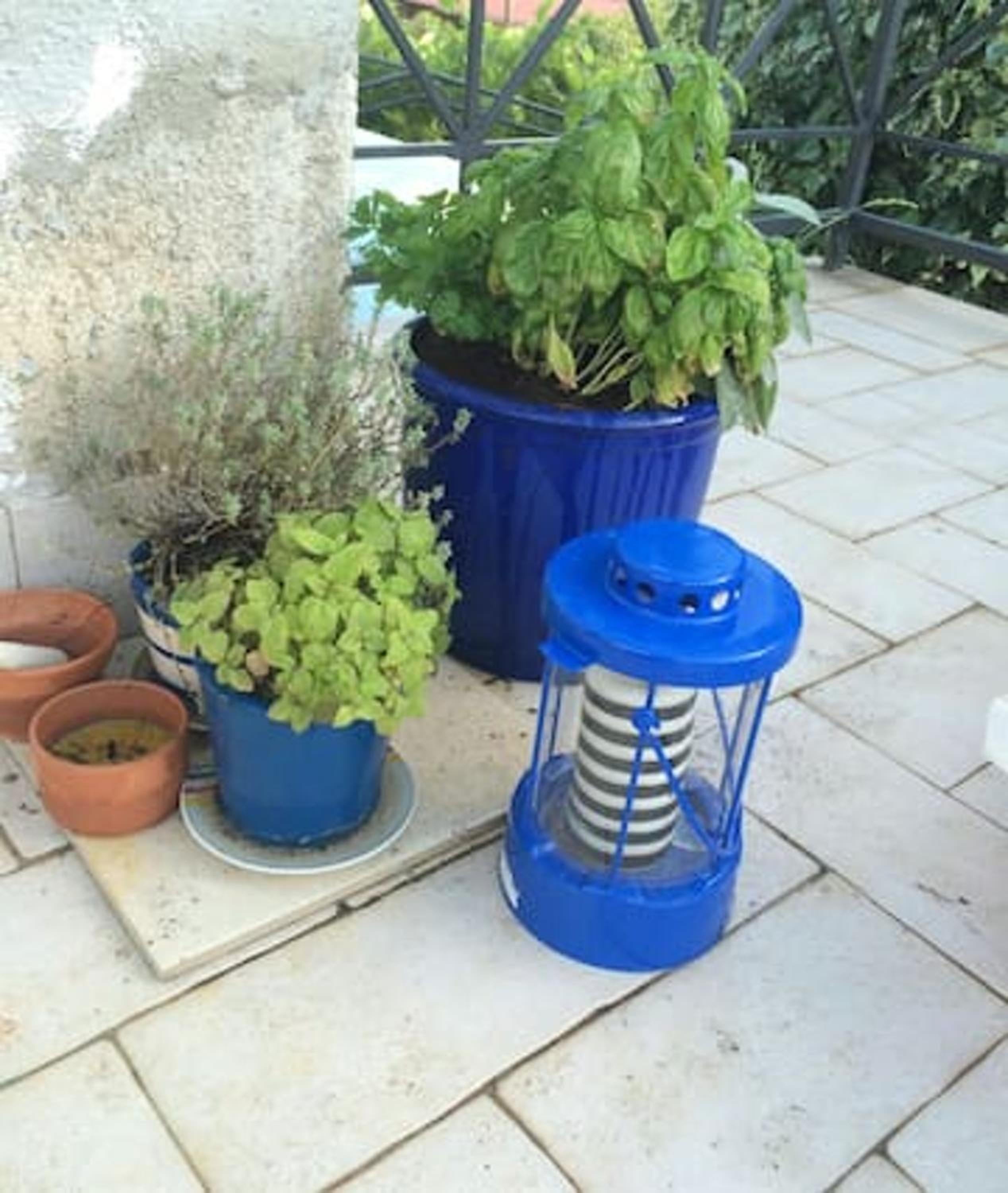 Charming apartment in Zambratija, 44 sqm, Parking included