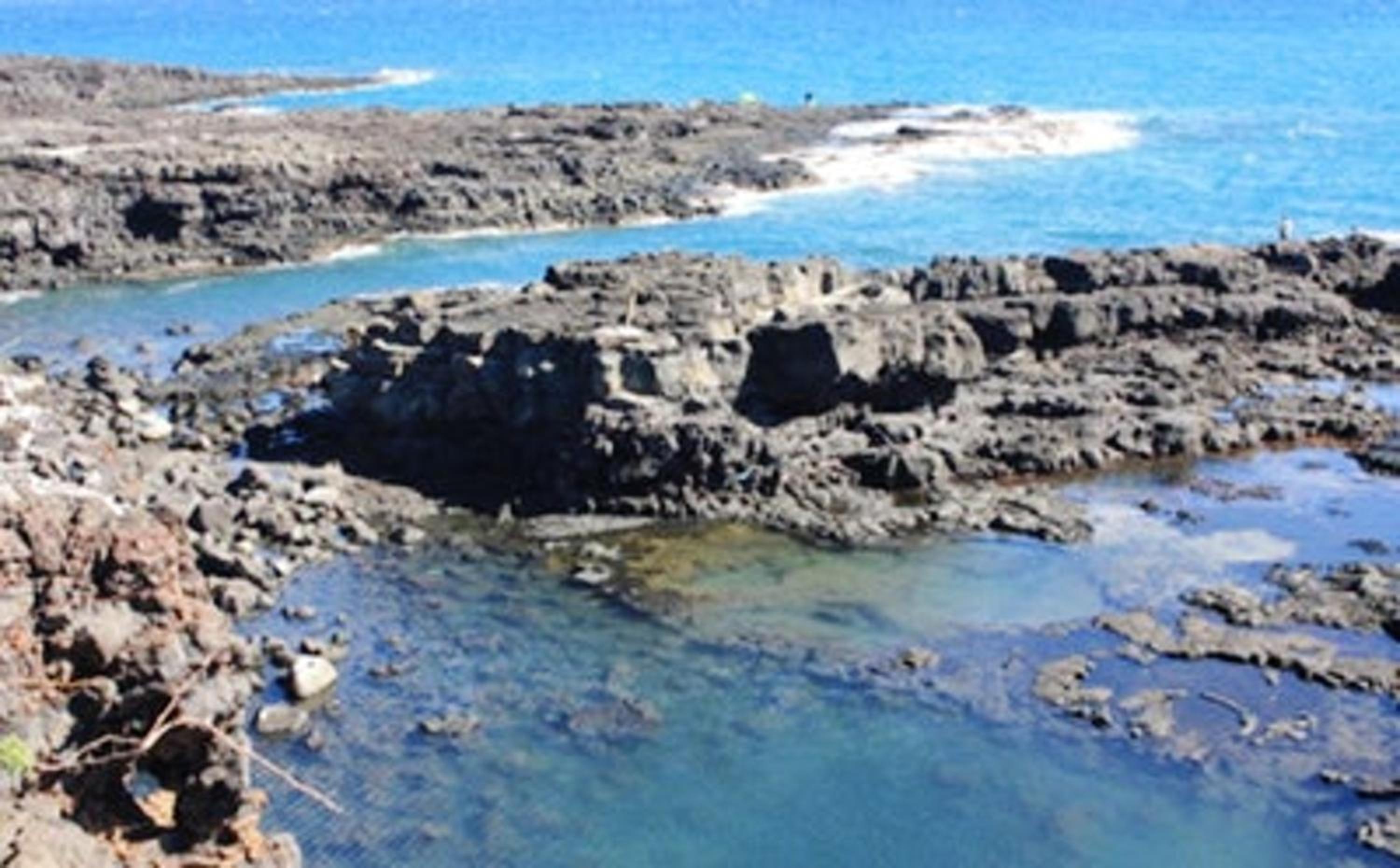 Bungalow charmant à Vincendo avec piscine partagée