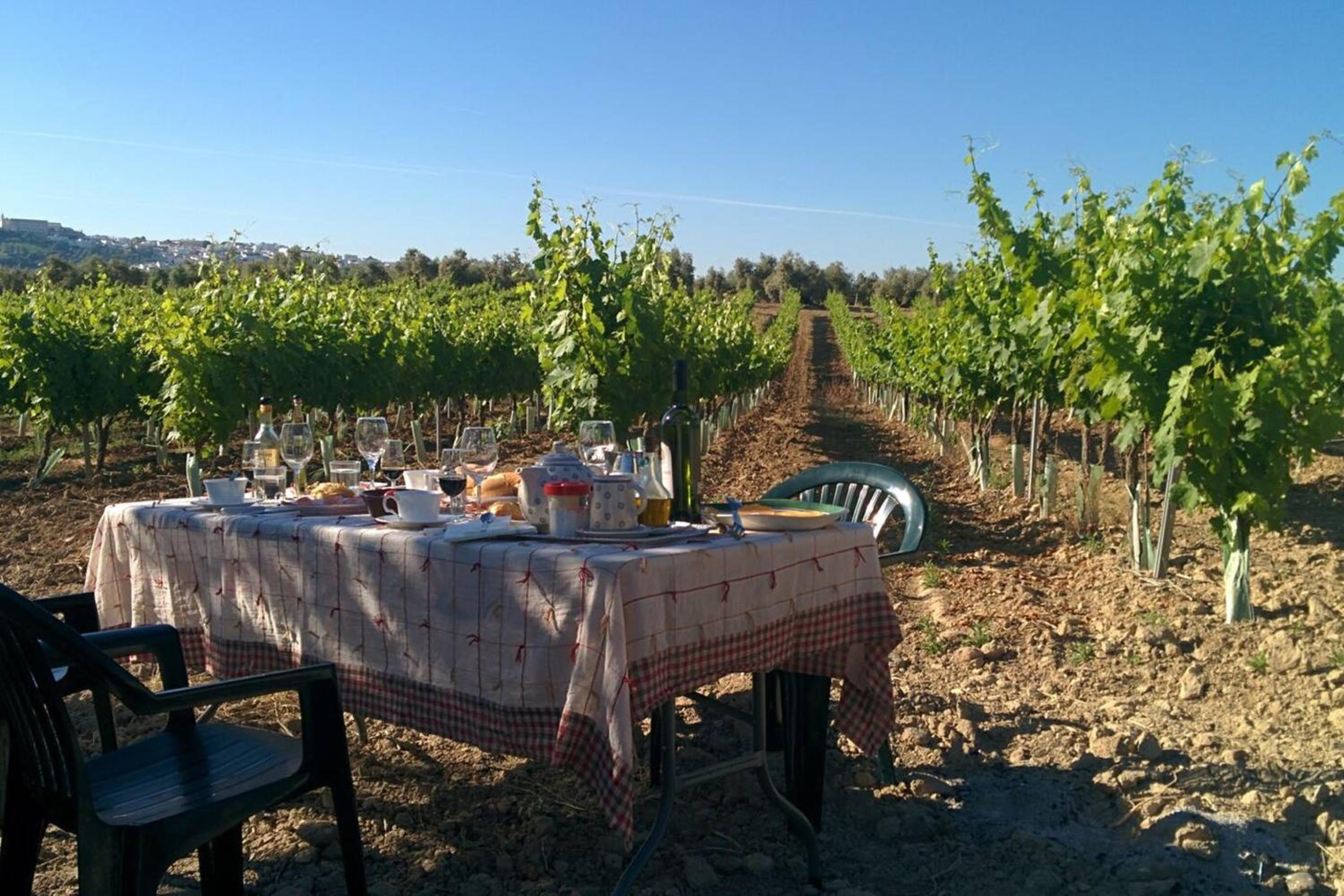 Elegant Villa in Montilla with Private Pool