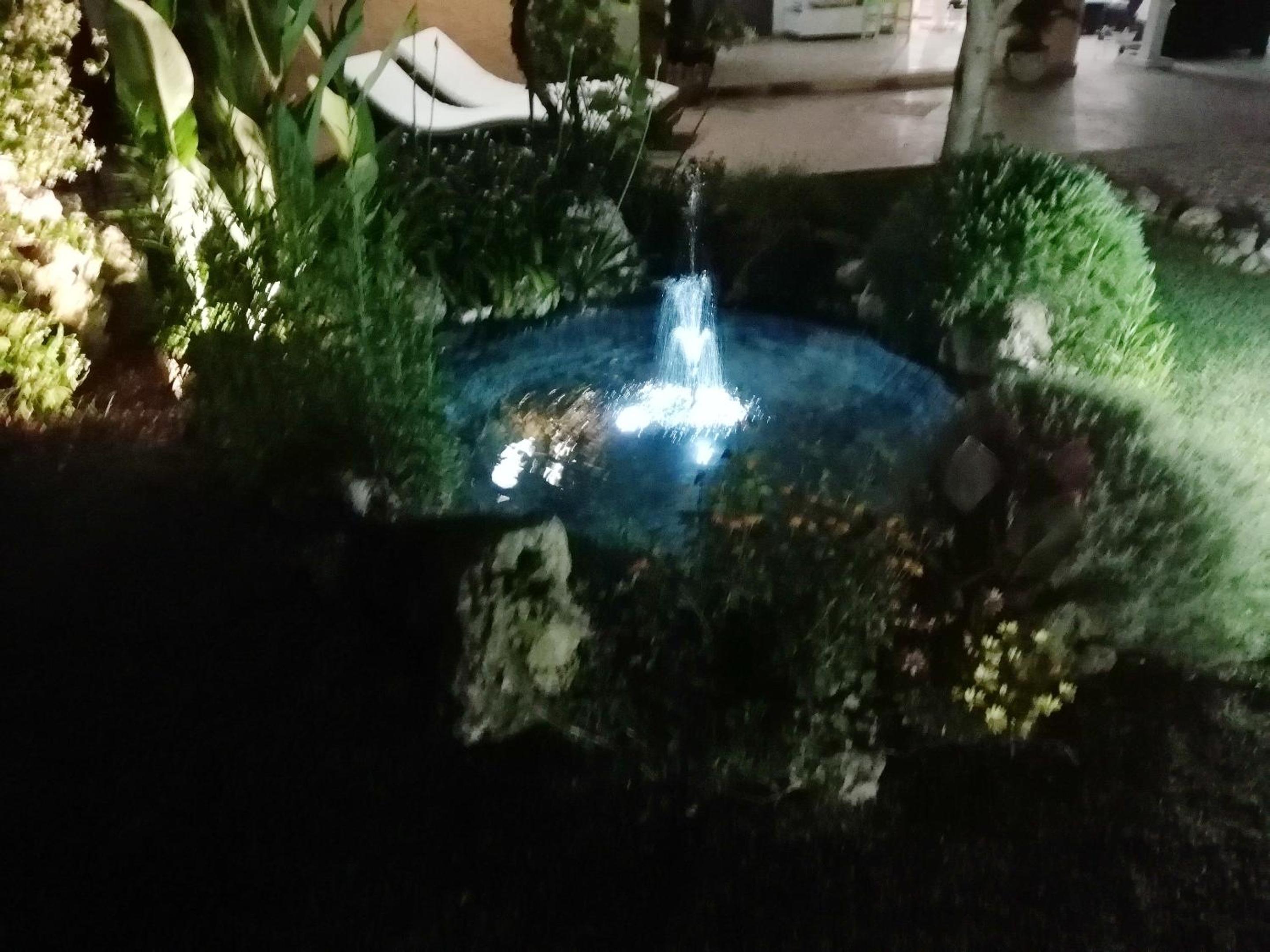 Photo 34