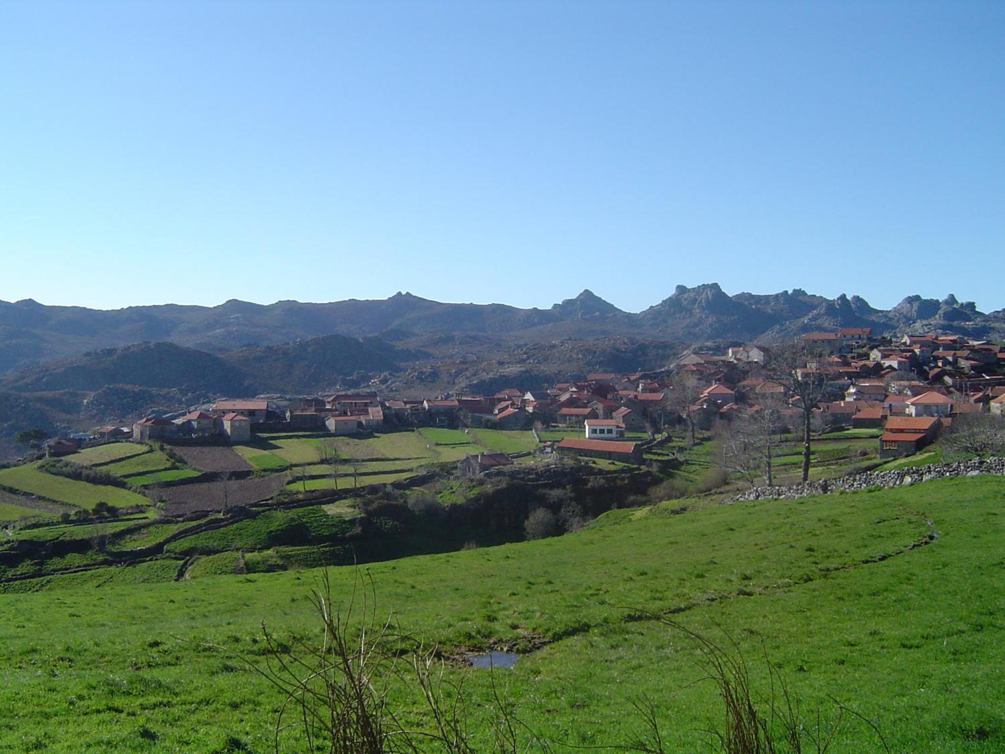 Photo 38