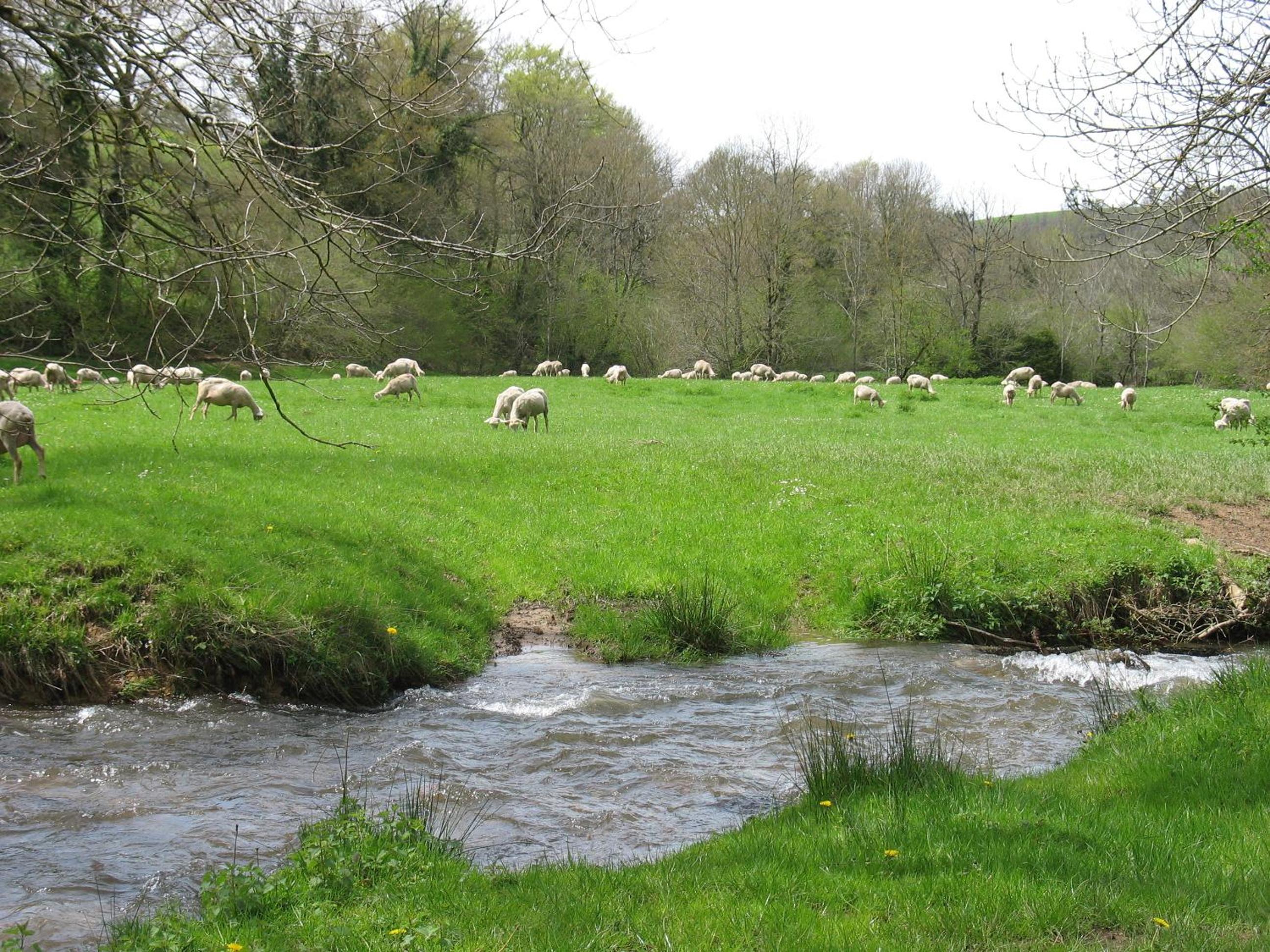 Photo 18