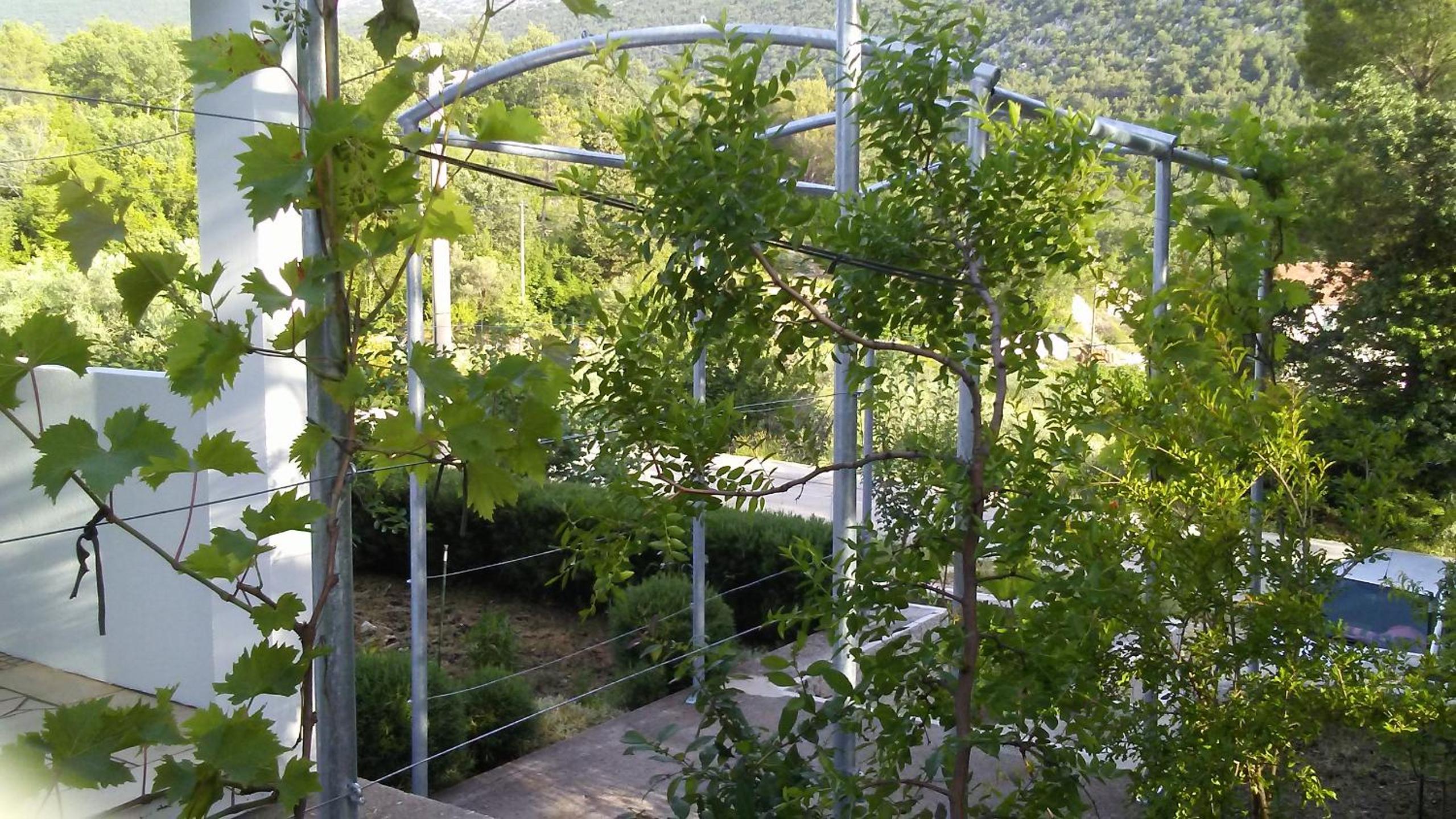 Apartman MAKA view 5