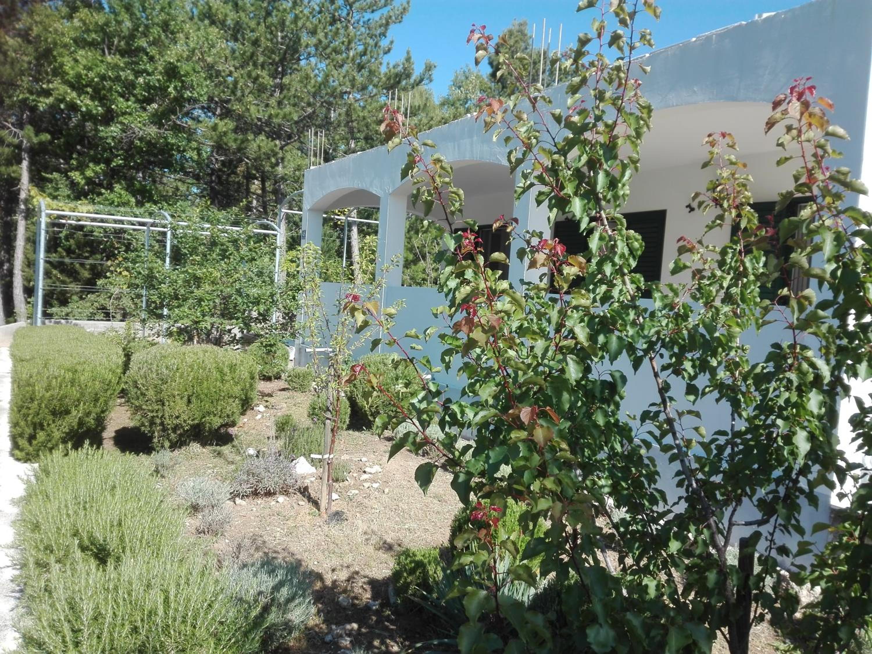 Photo 17