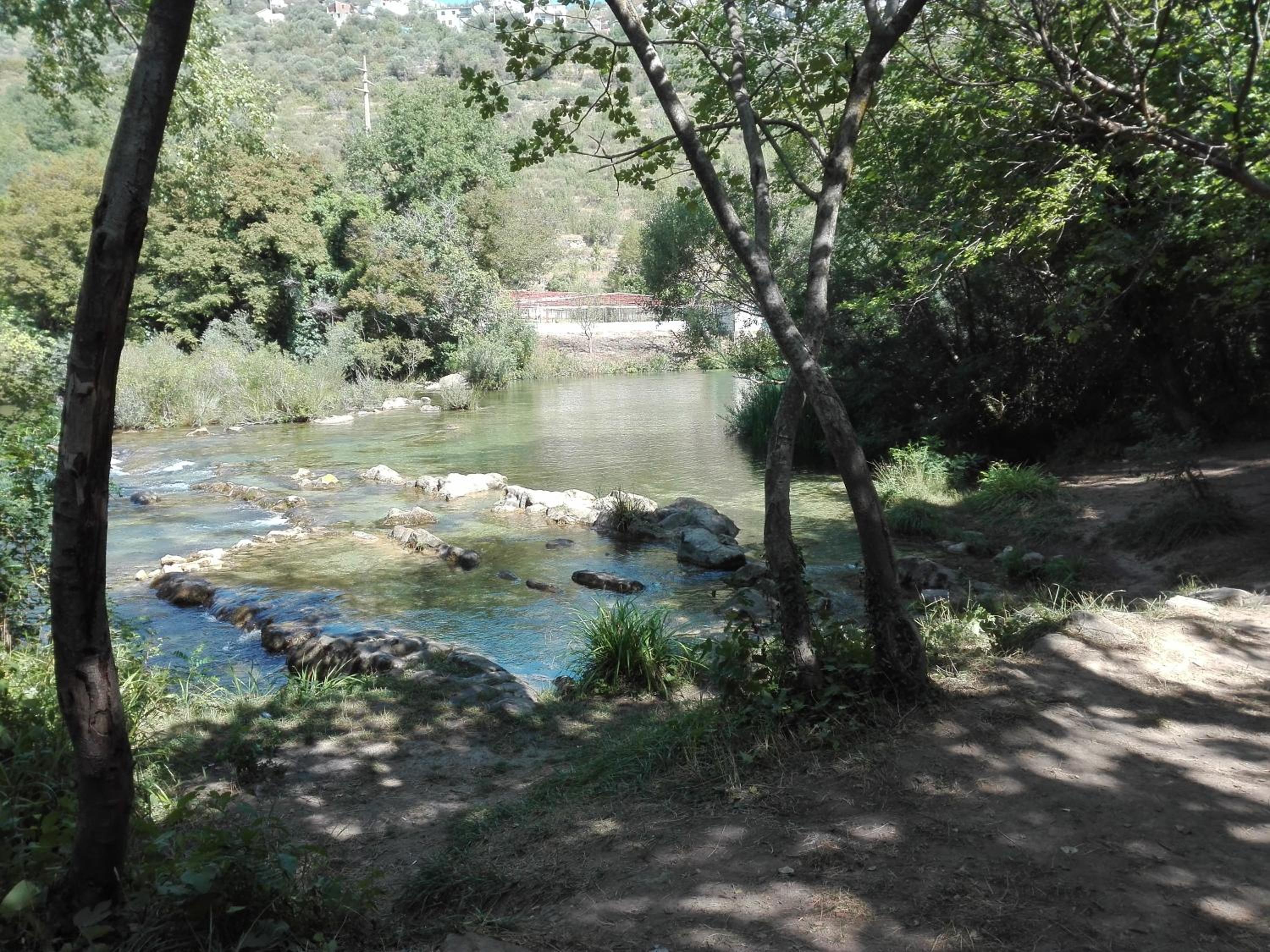 Photo 18