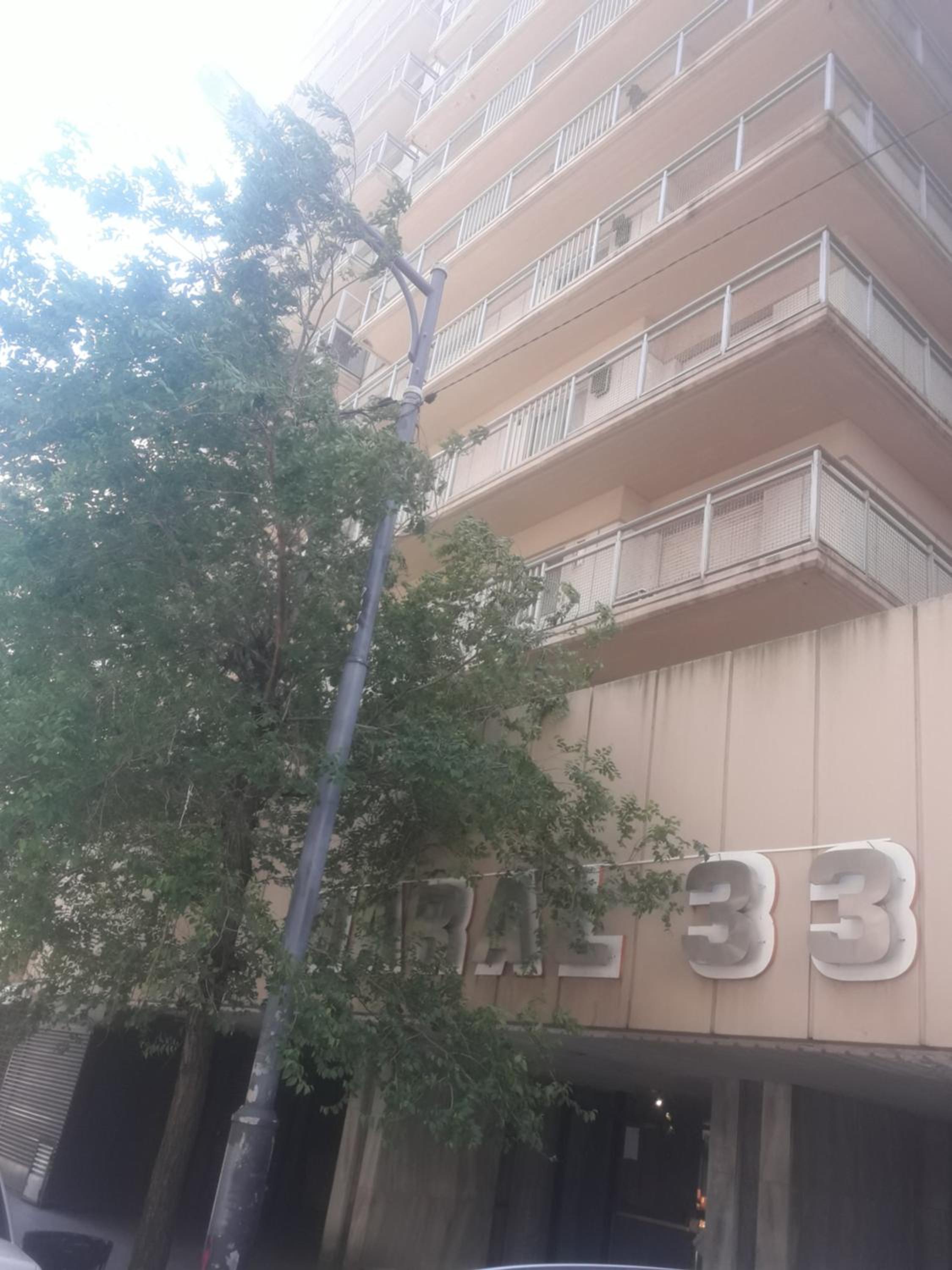Mi Lugar en el Mundo