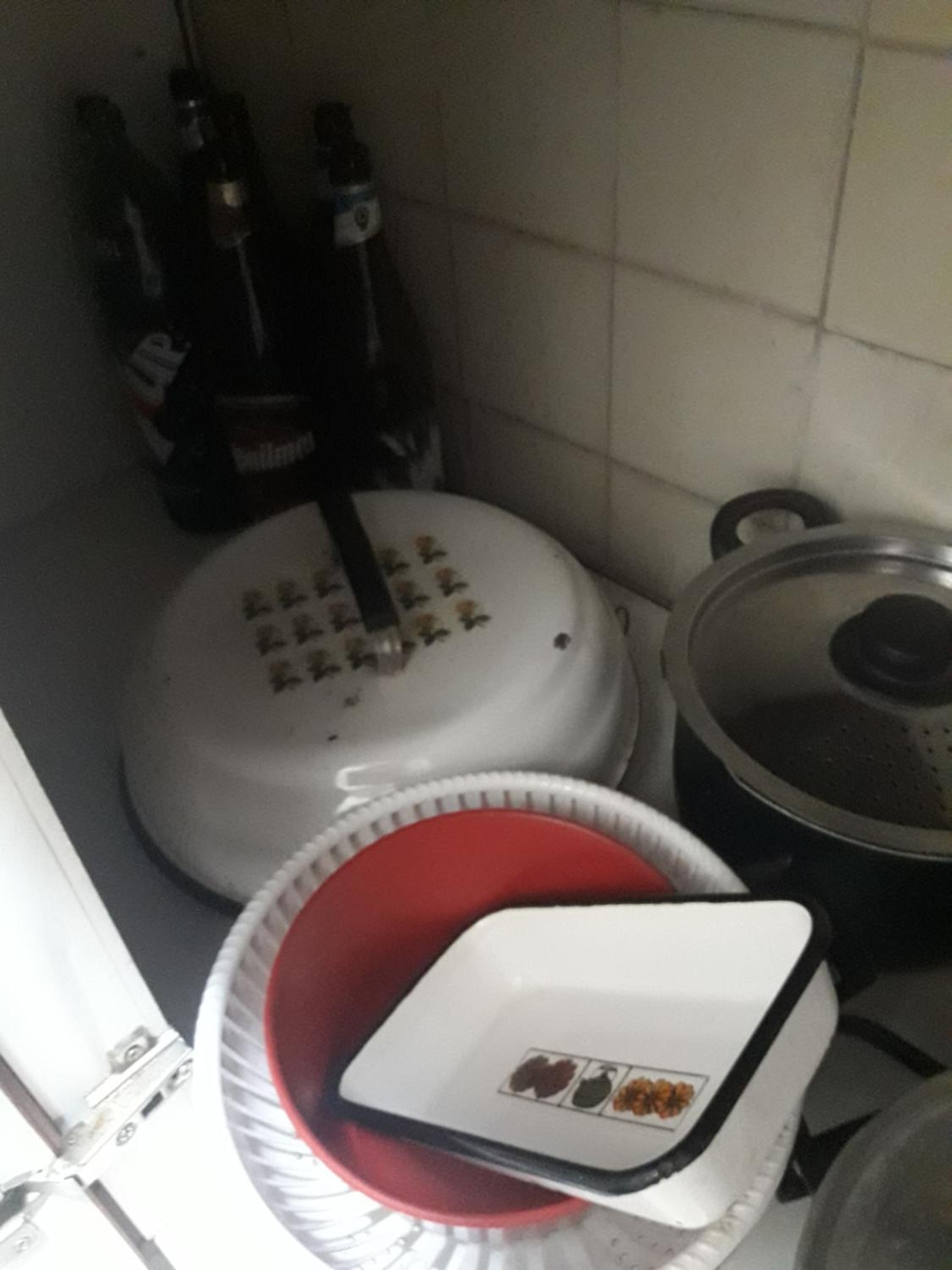 Mi Lugar en el Mundo