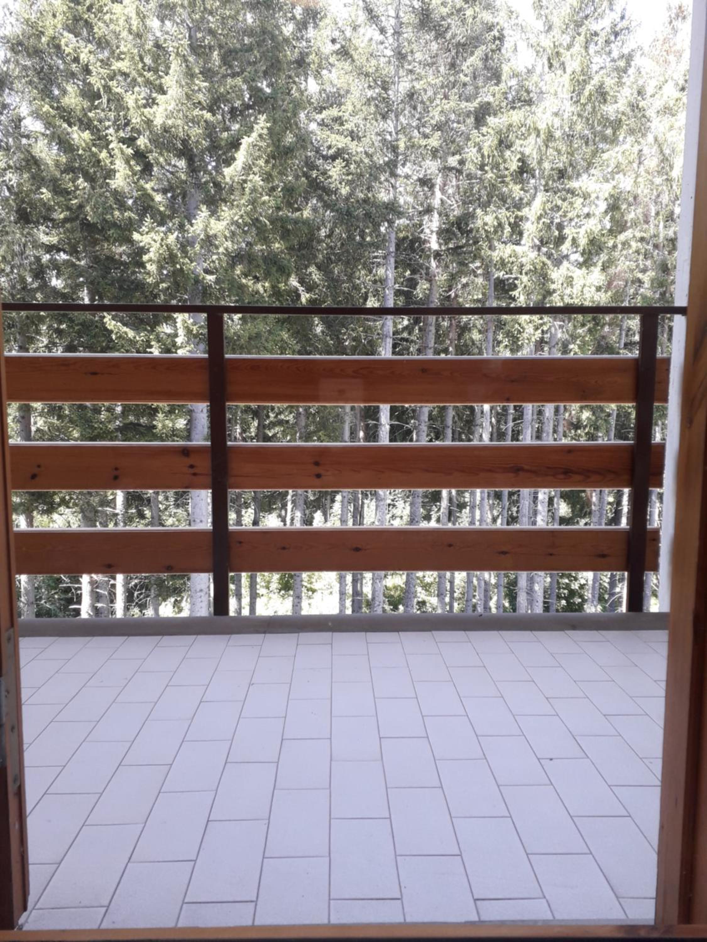 Abetone - Parco dei Daini view 2