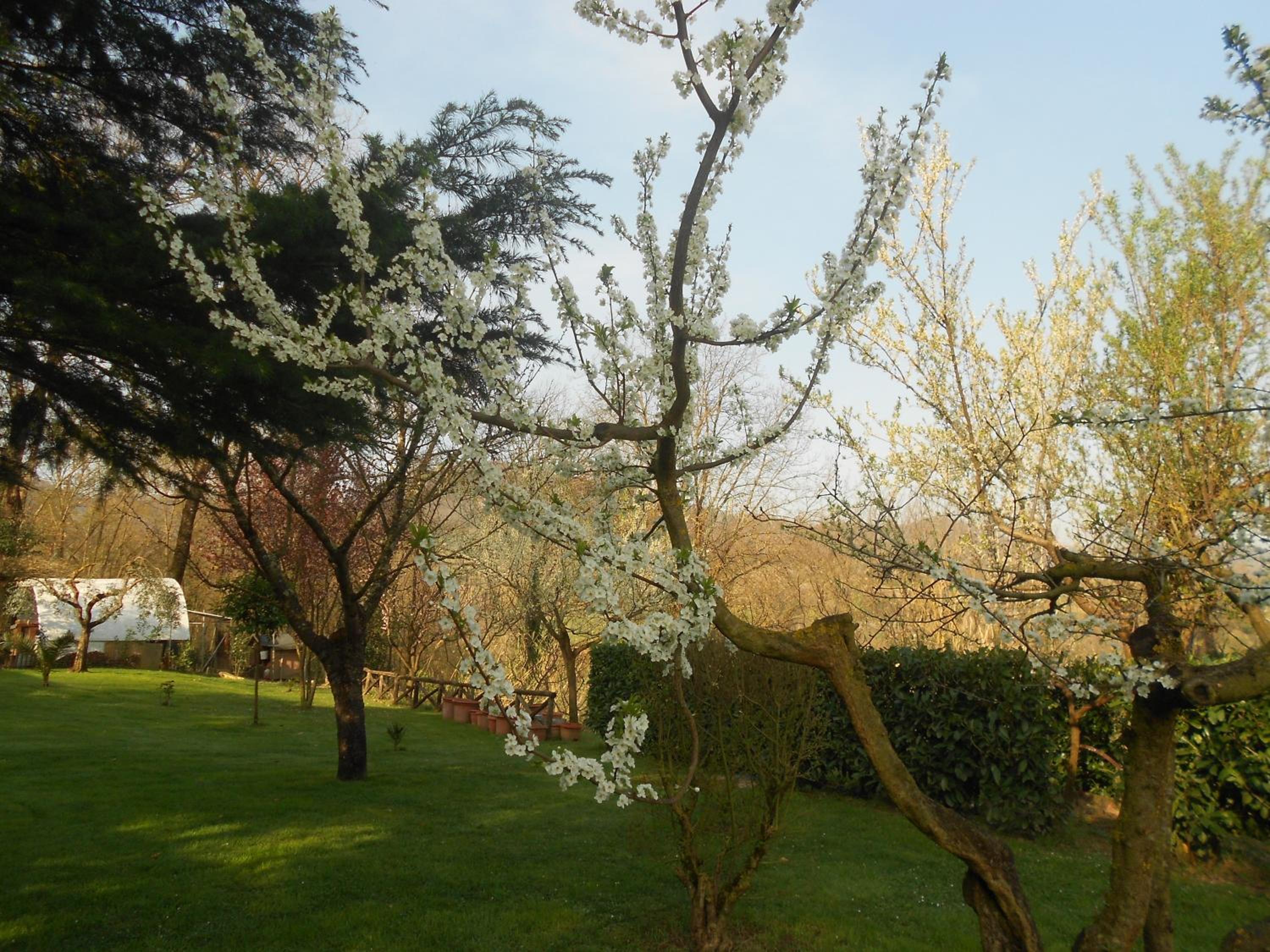B&B La Quercia