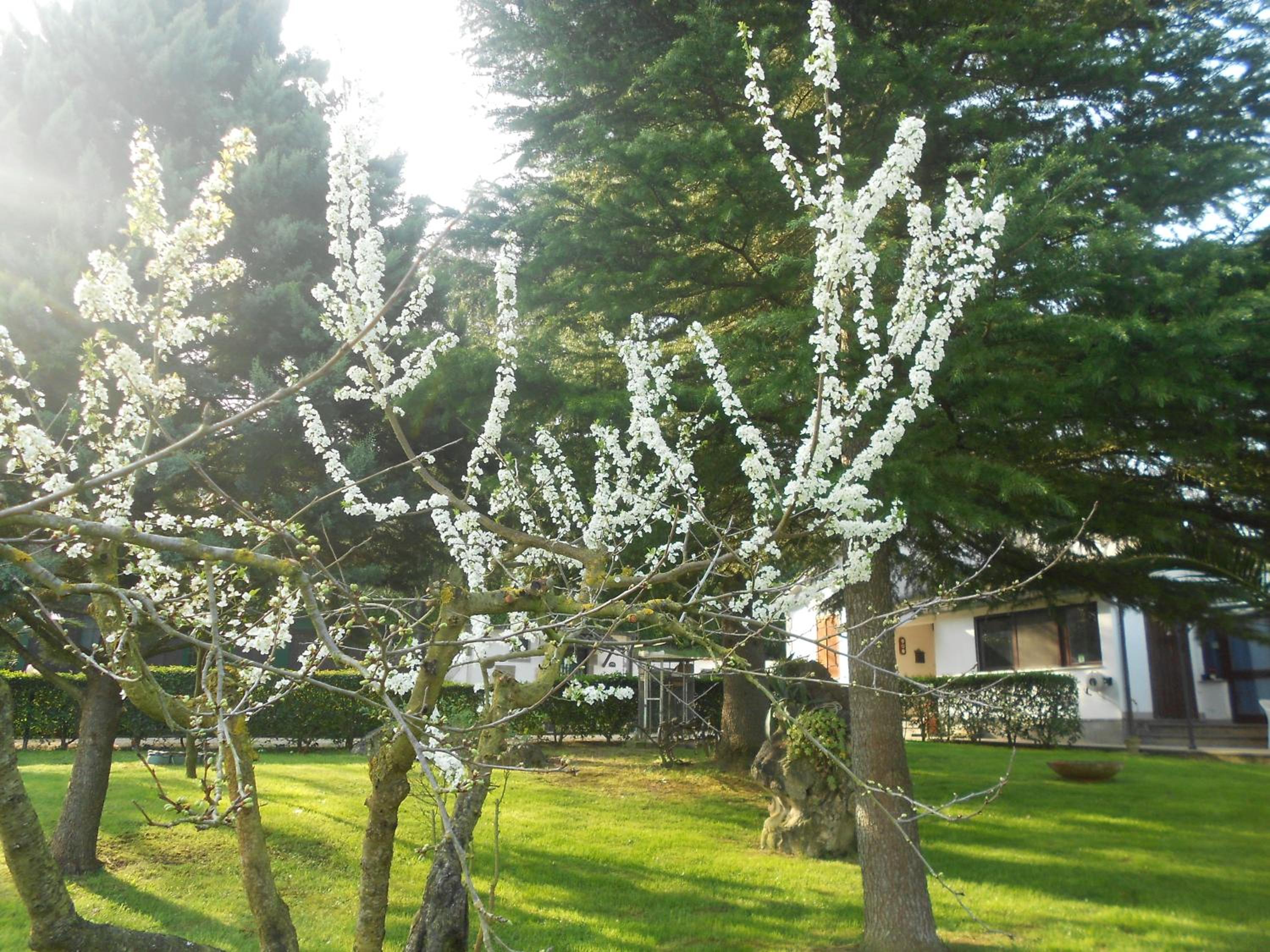 B&B La Quercia