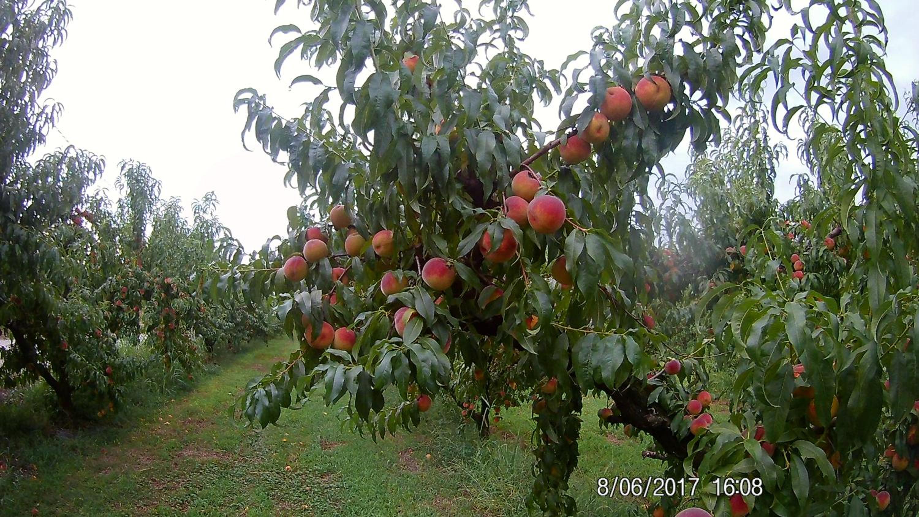 Photo 35