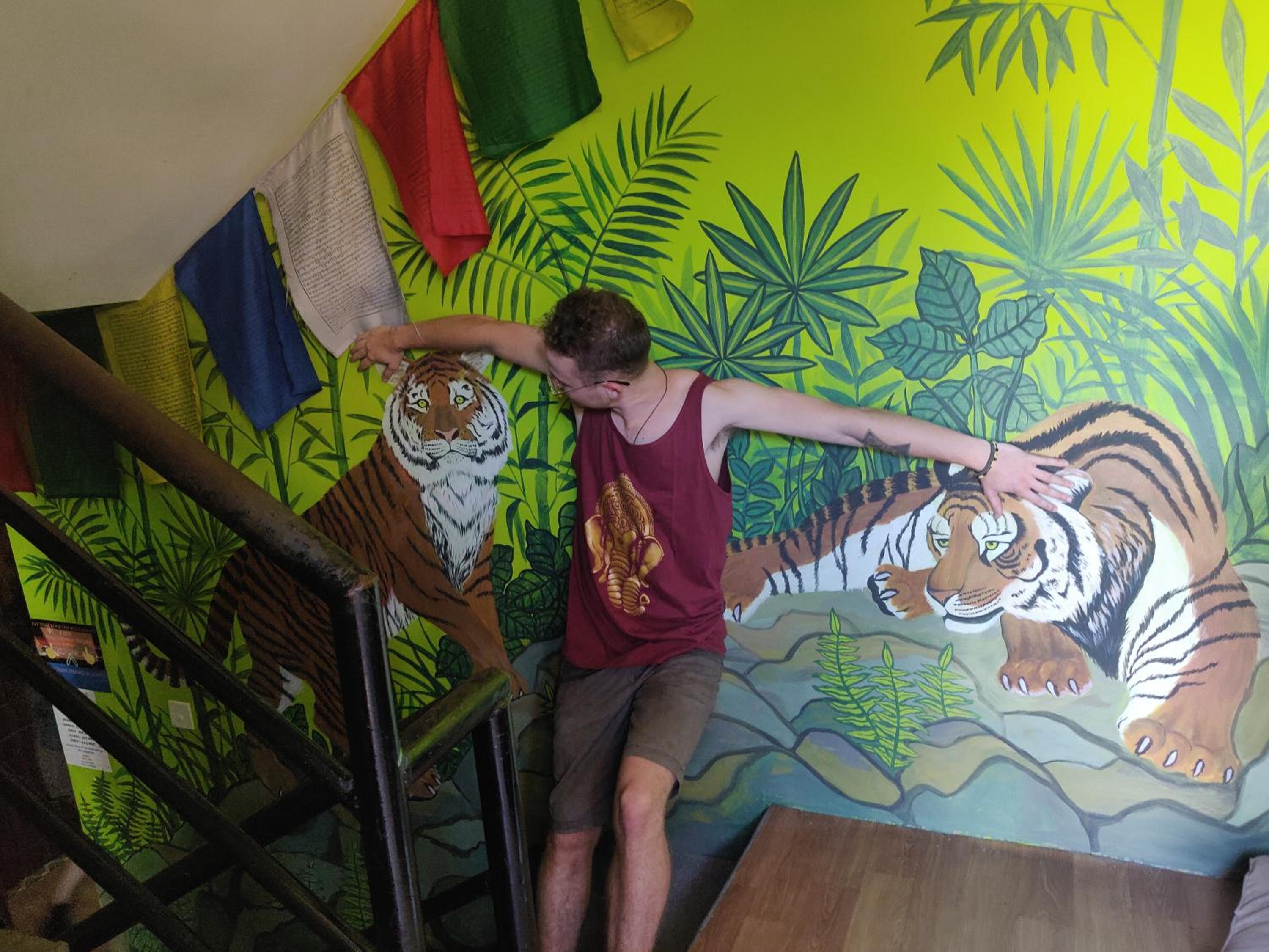 Photo 44