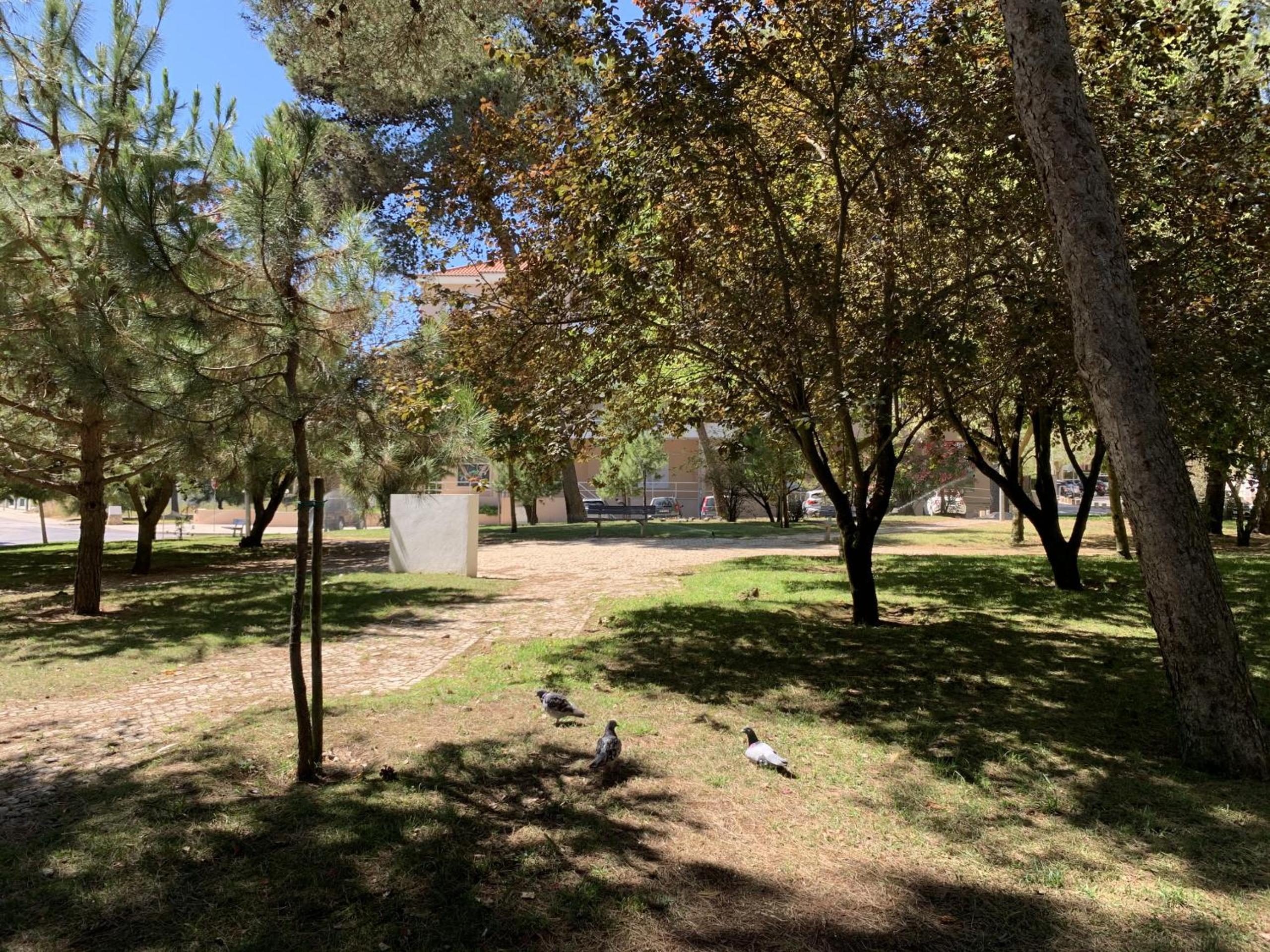 Photo 47