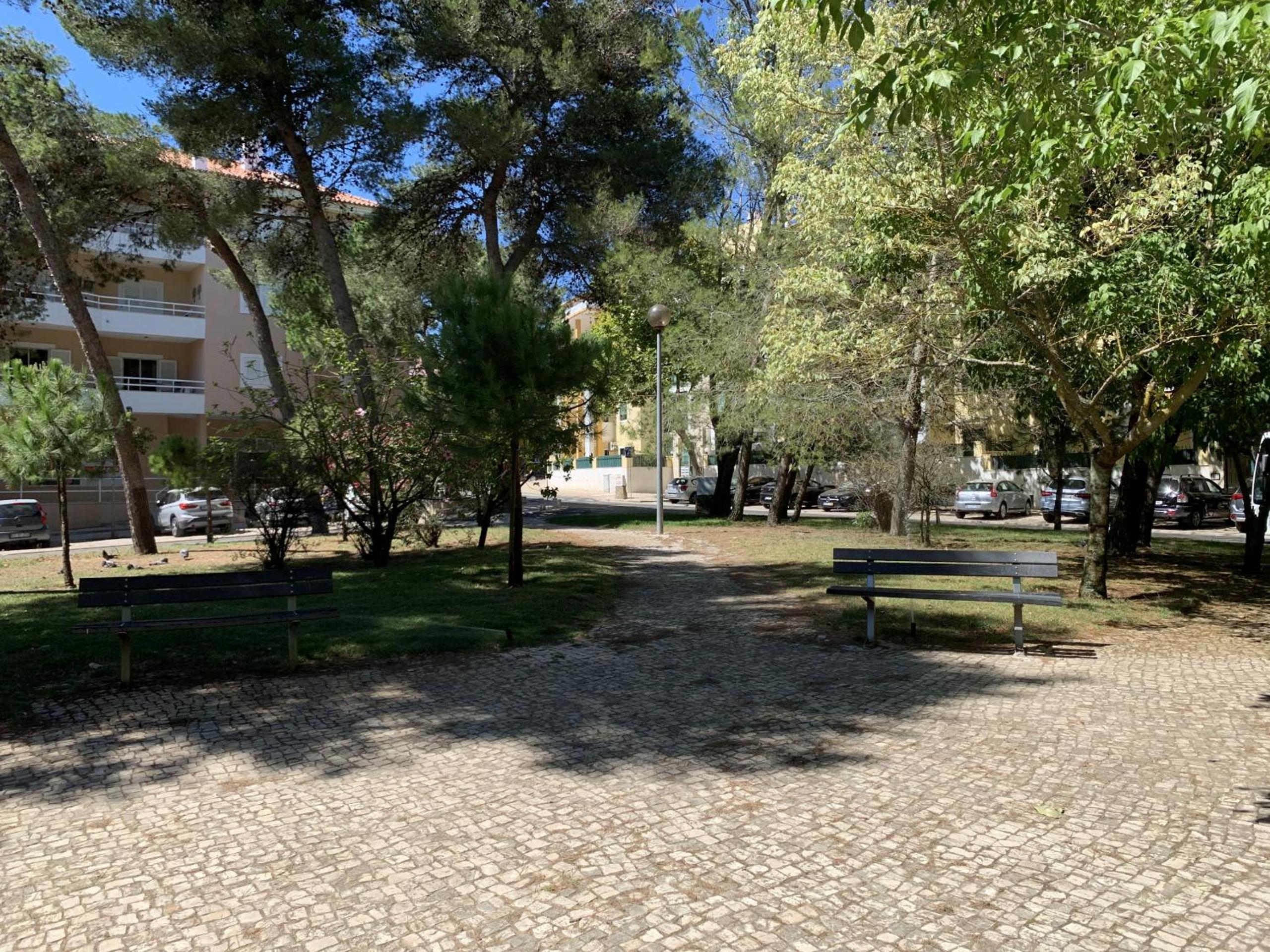 Photo 45