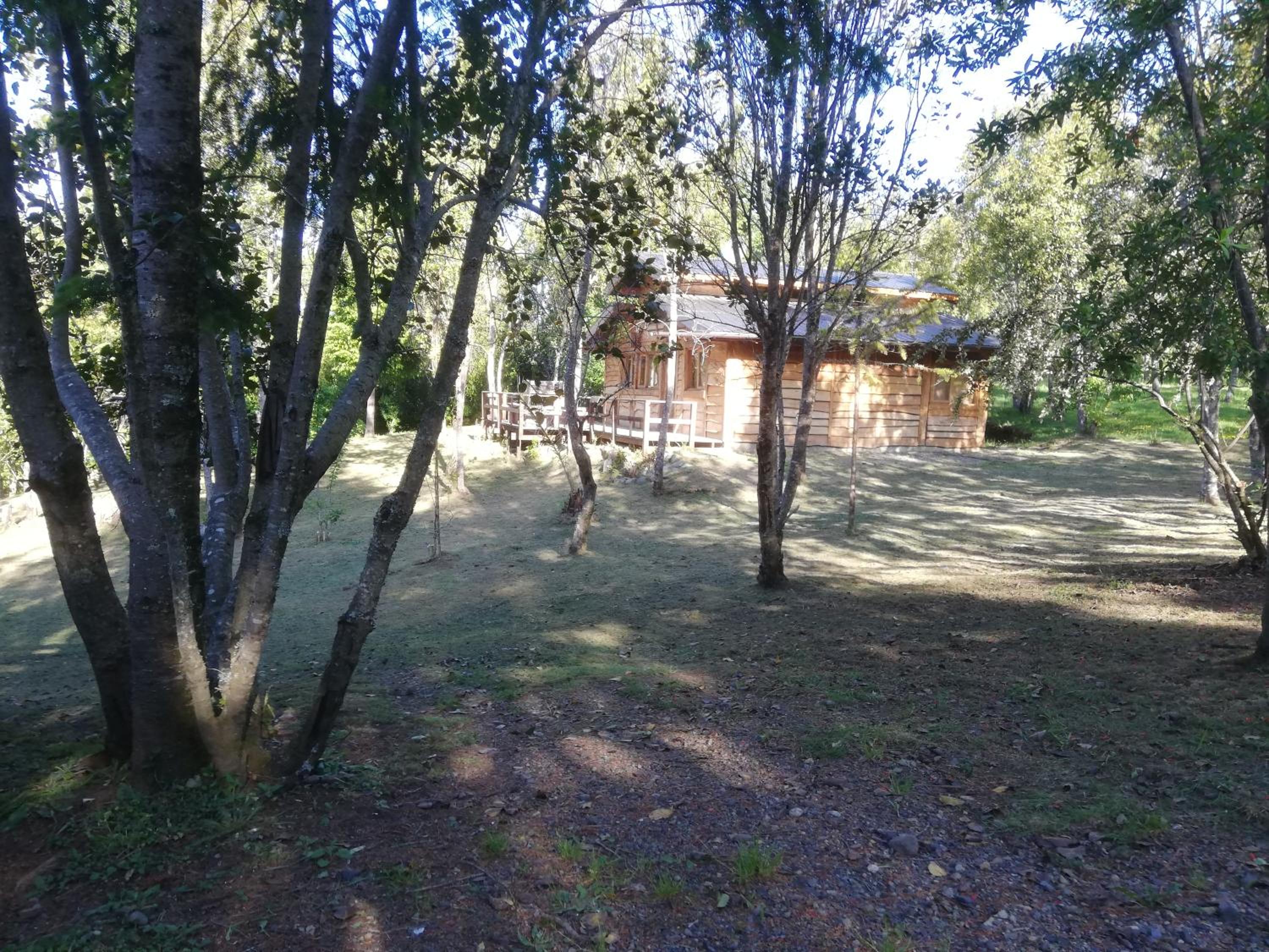 Photo 40