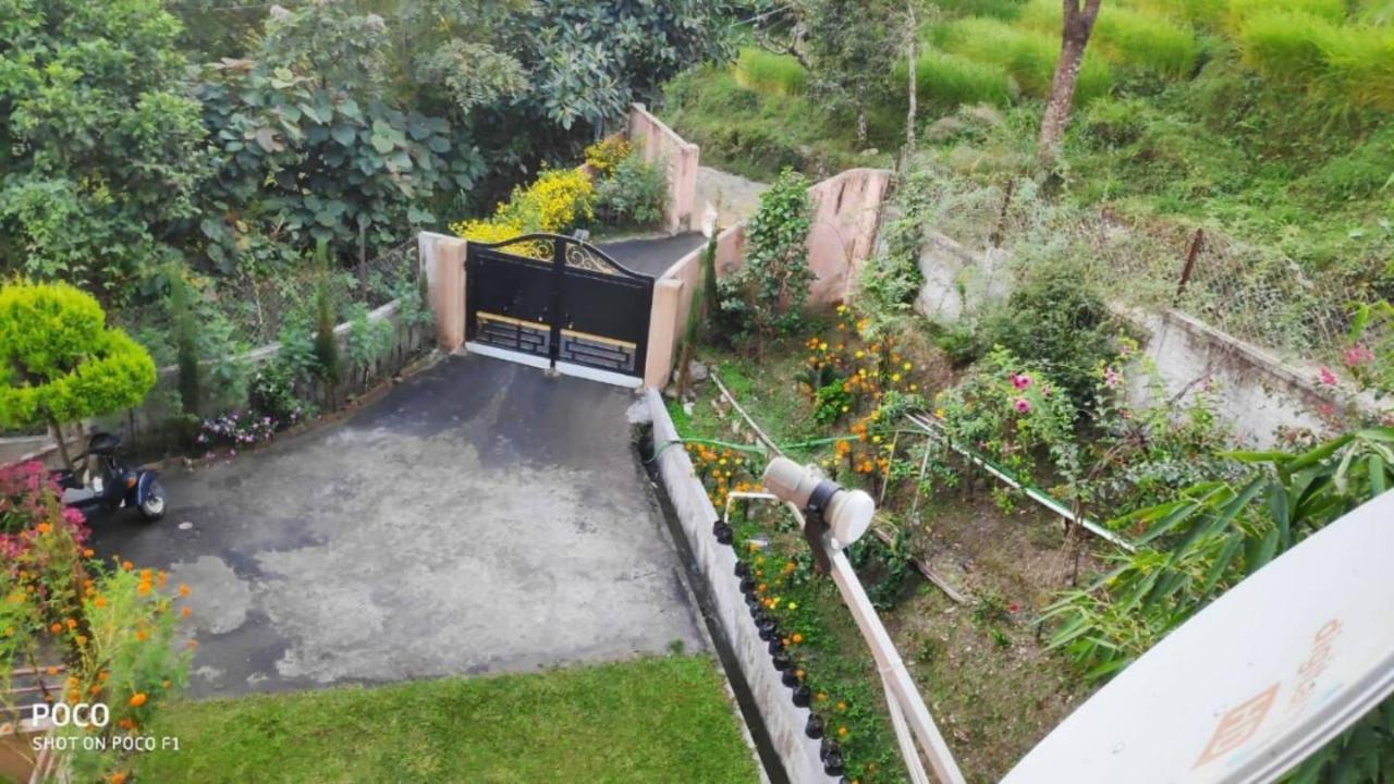 Photo 8