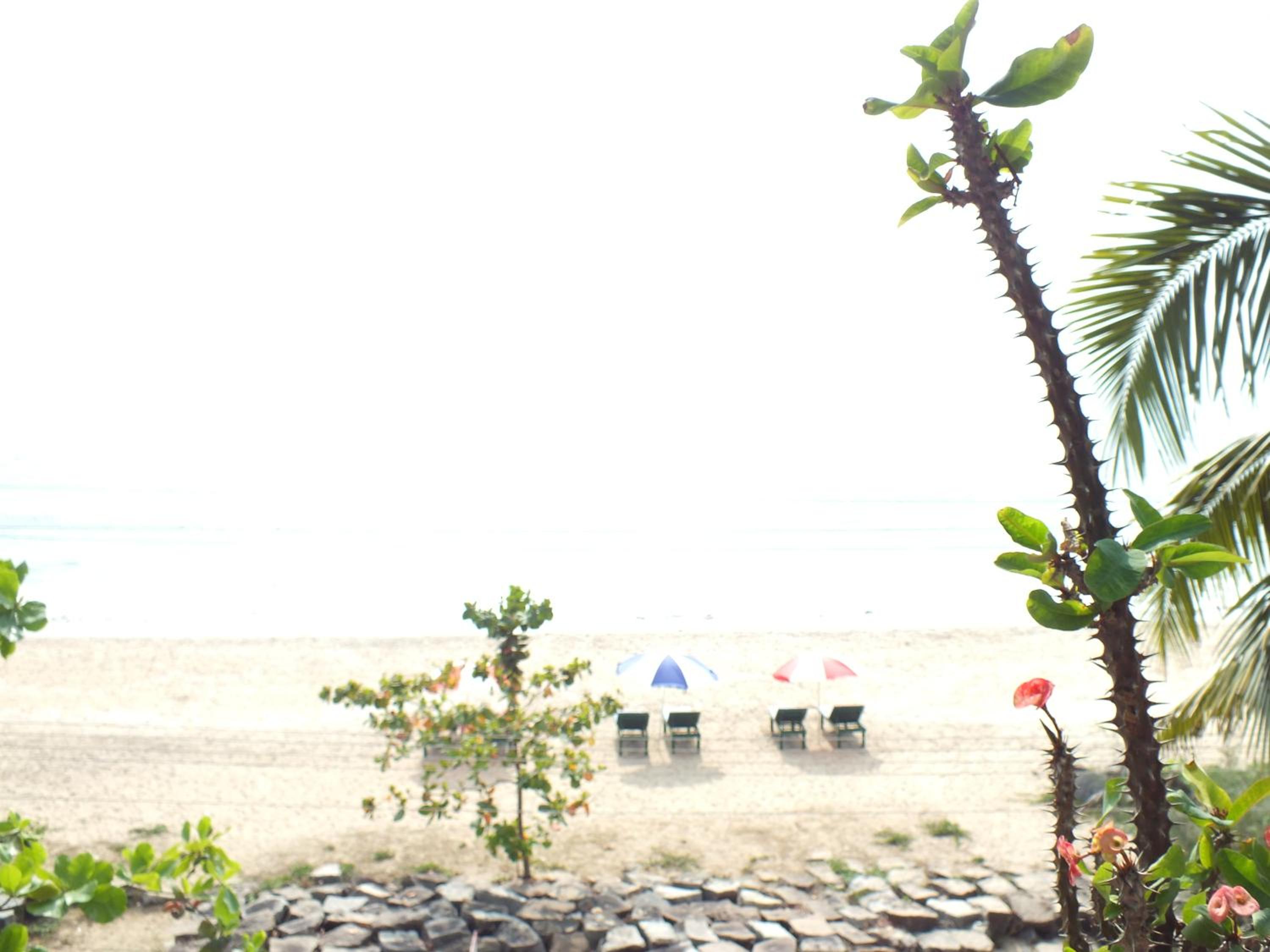 Cherai Beach Residency